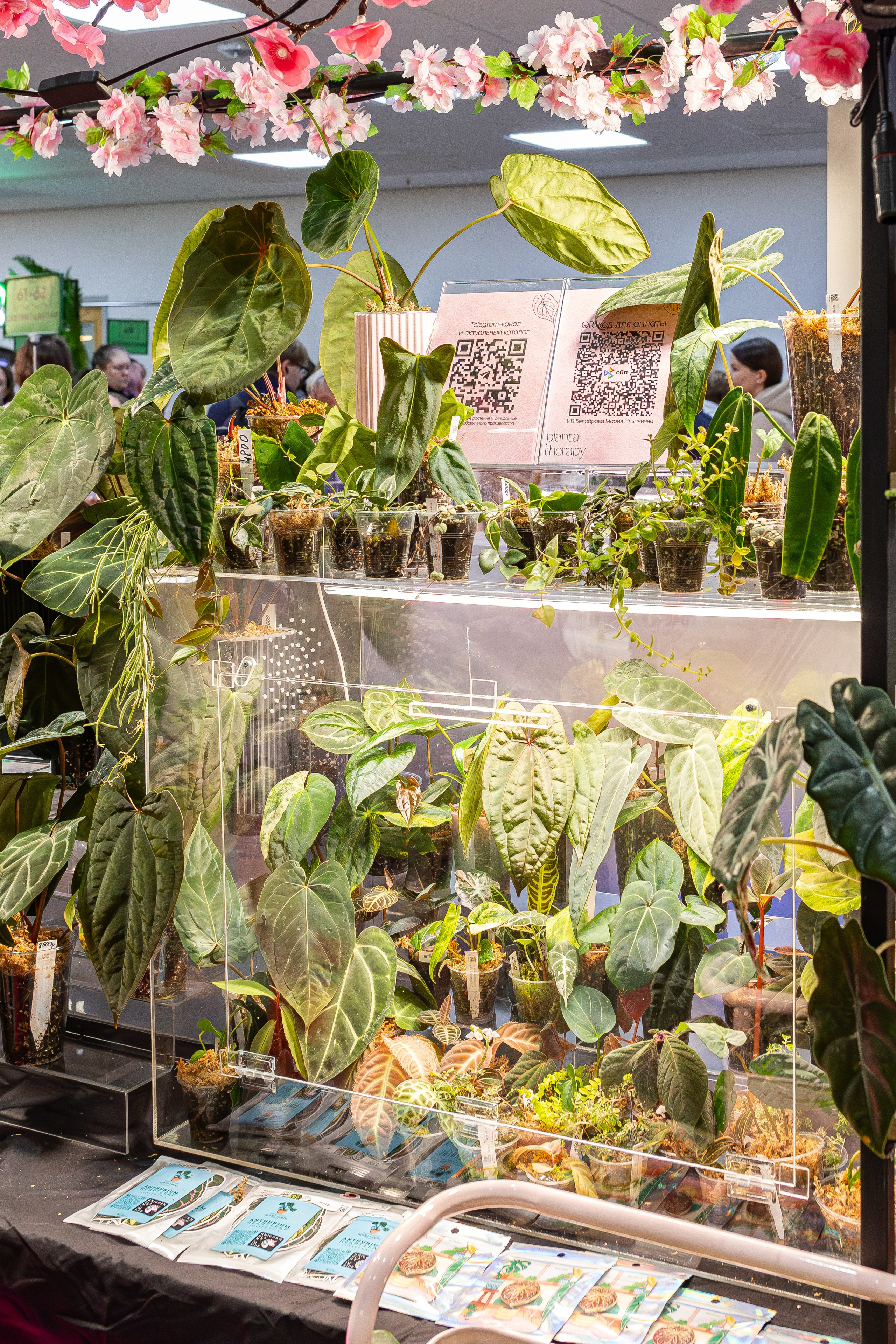 Монстериум апрель 2026. Александра Куликова фотограф, Москва