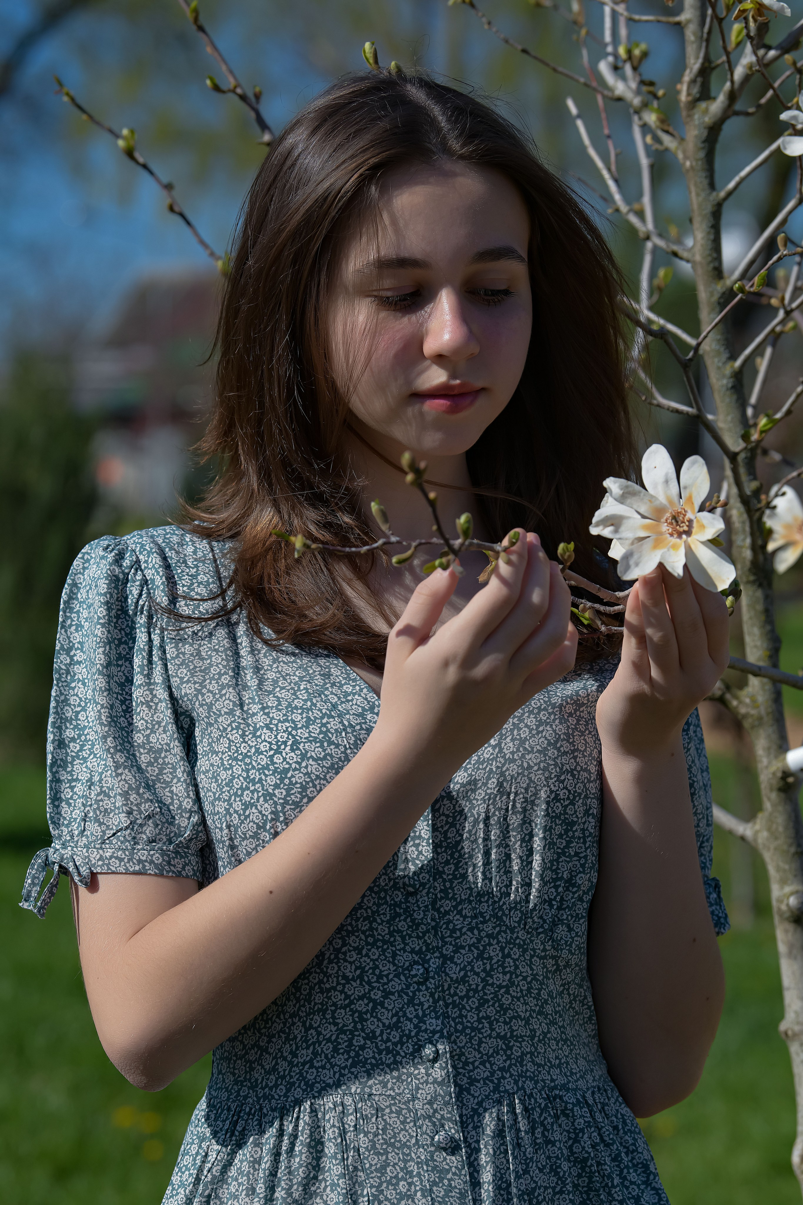 Смешанное цветение и зелень. Главная