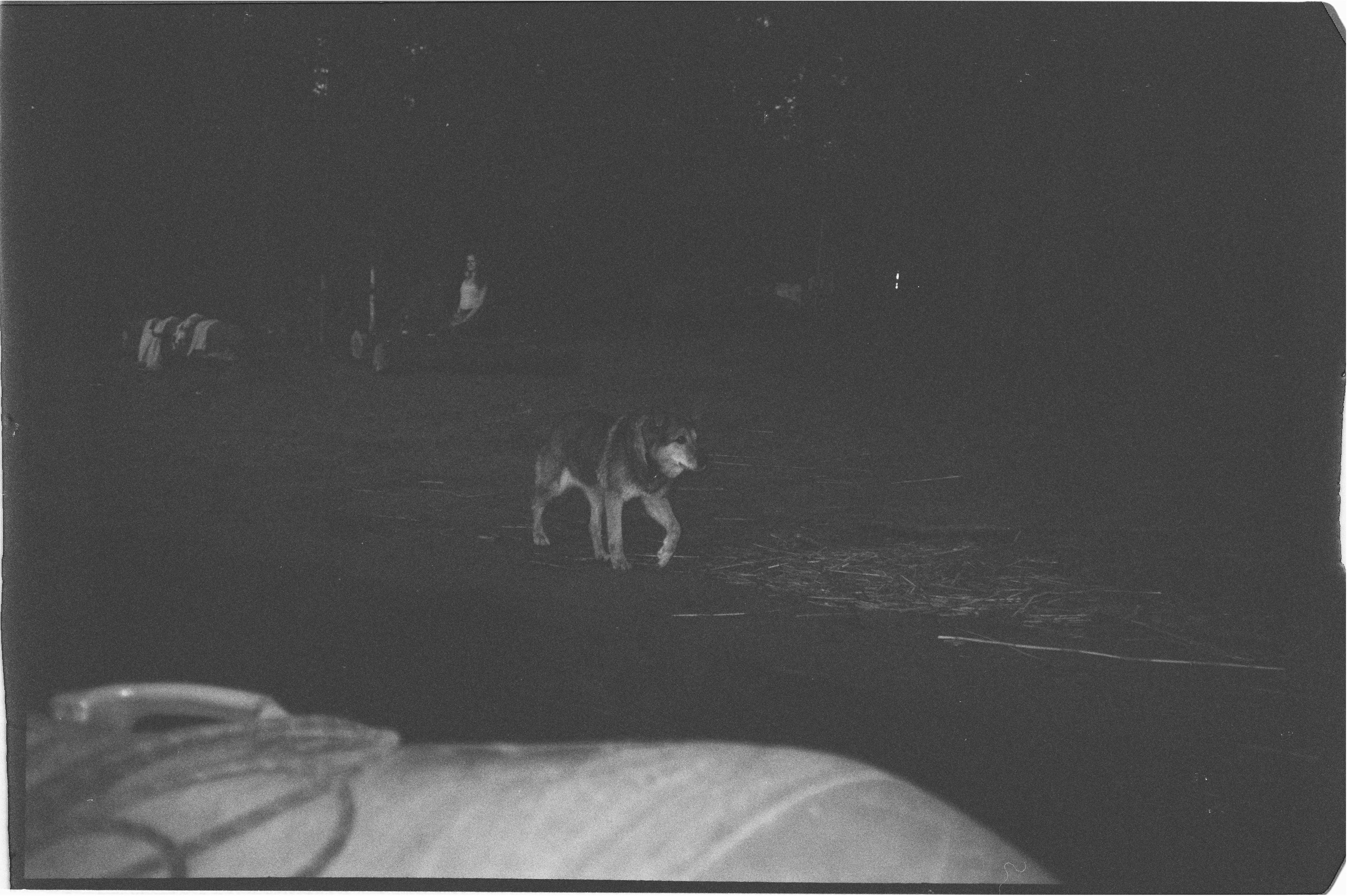 И вокруг меня. Портретный и концертный фотограф в Санкт-Петербурге Егор Телятников