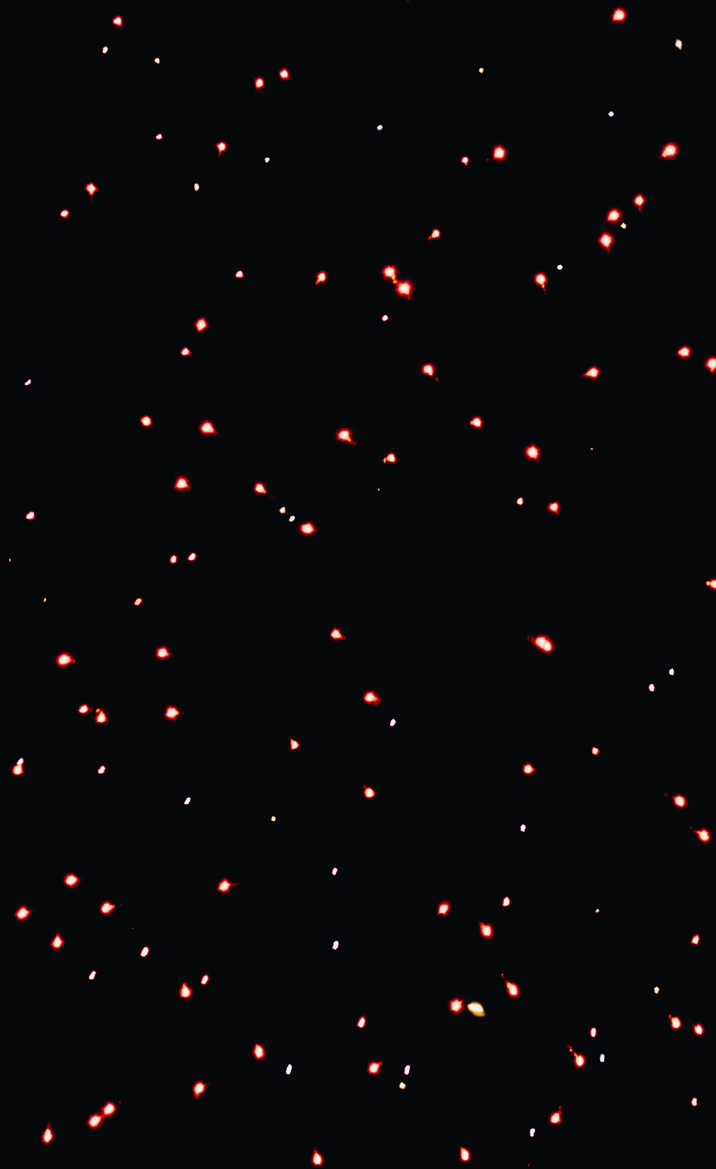 Салют!. Светофография