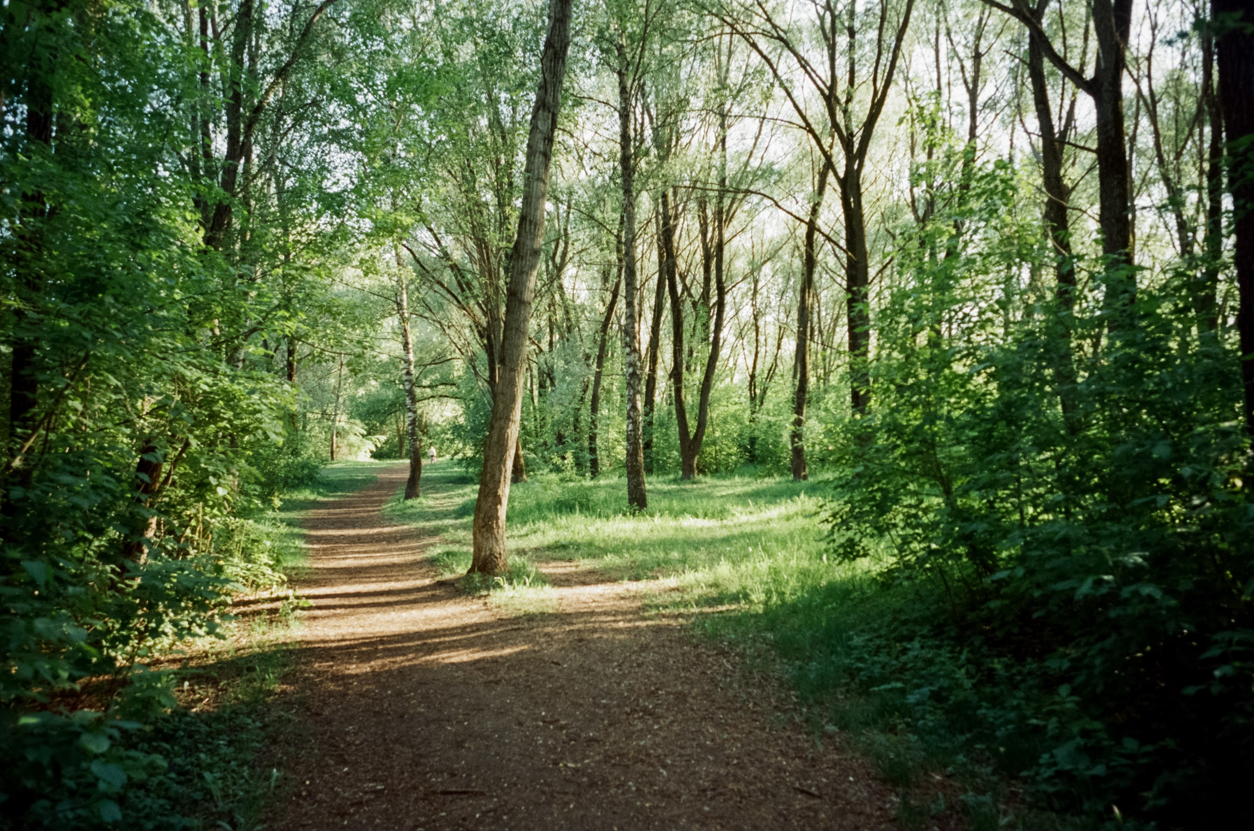 Ricoh GR10 / SFL 250D / Тестовая пленка у речки в Строгино