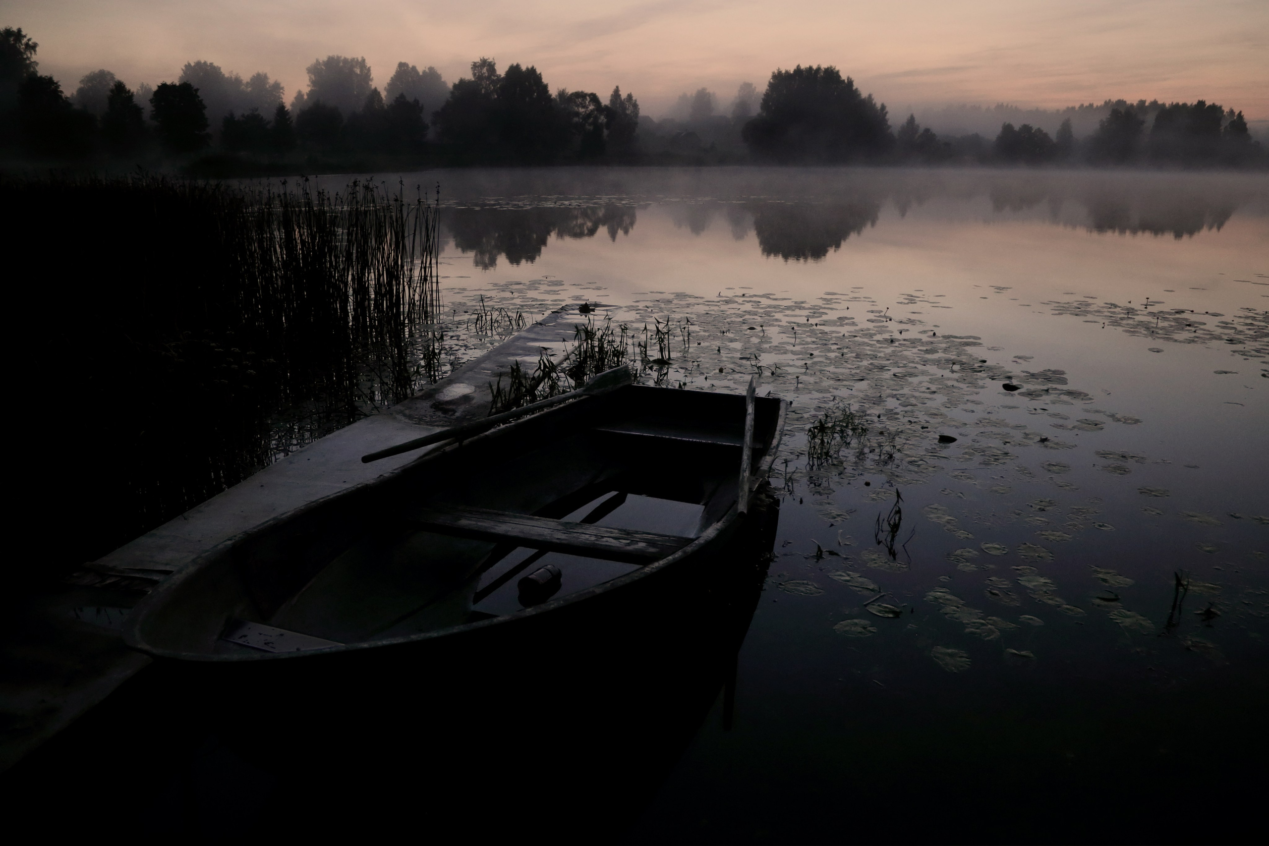 Фото. Фотограф Лагутин Анатолий