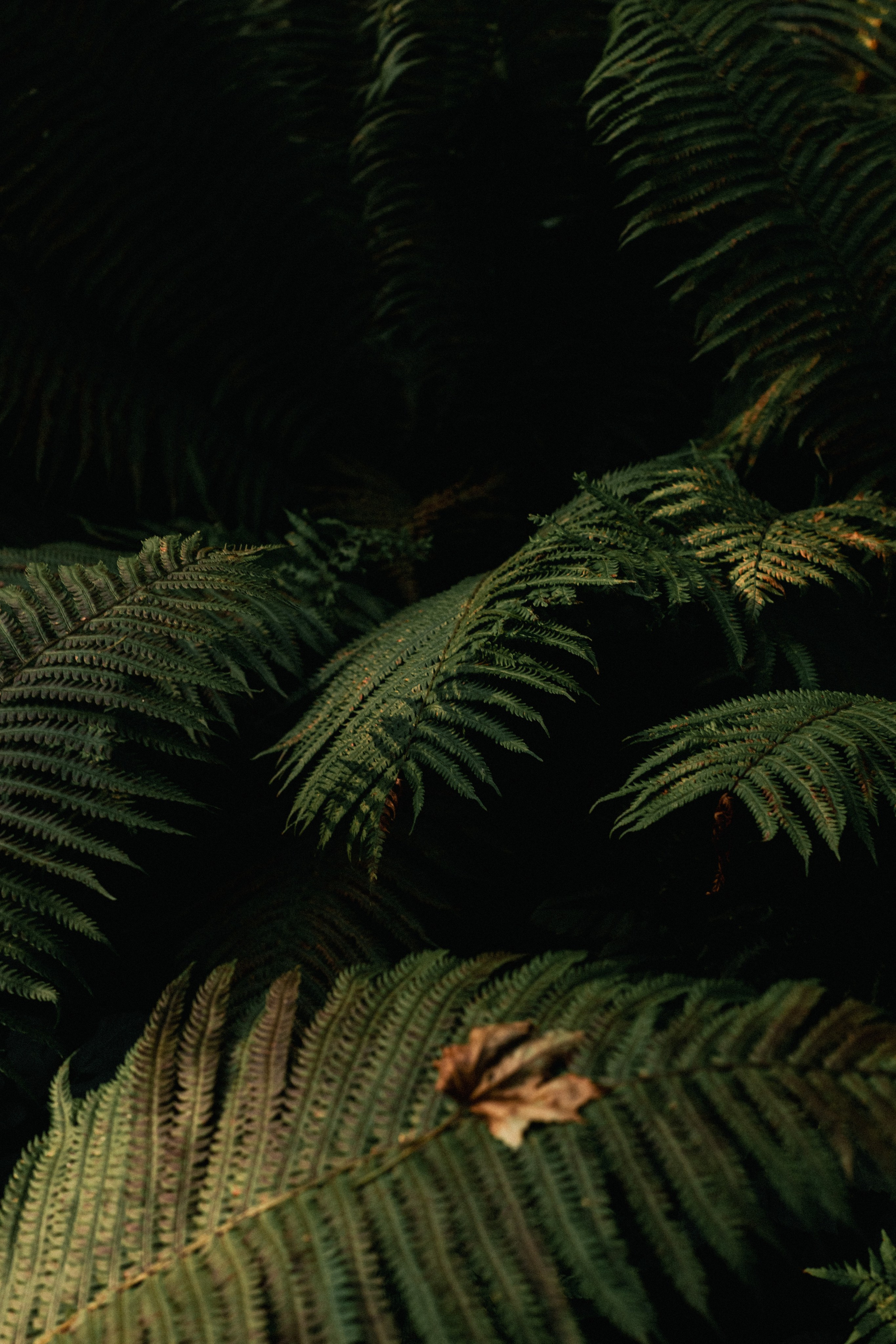 An island. Валерия Трофимова ФОТОГРАФ|Санкт-Петербург |Крым