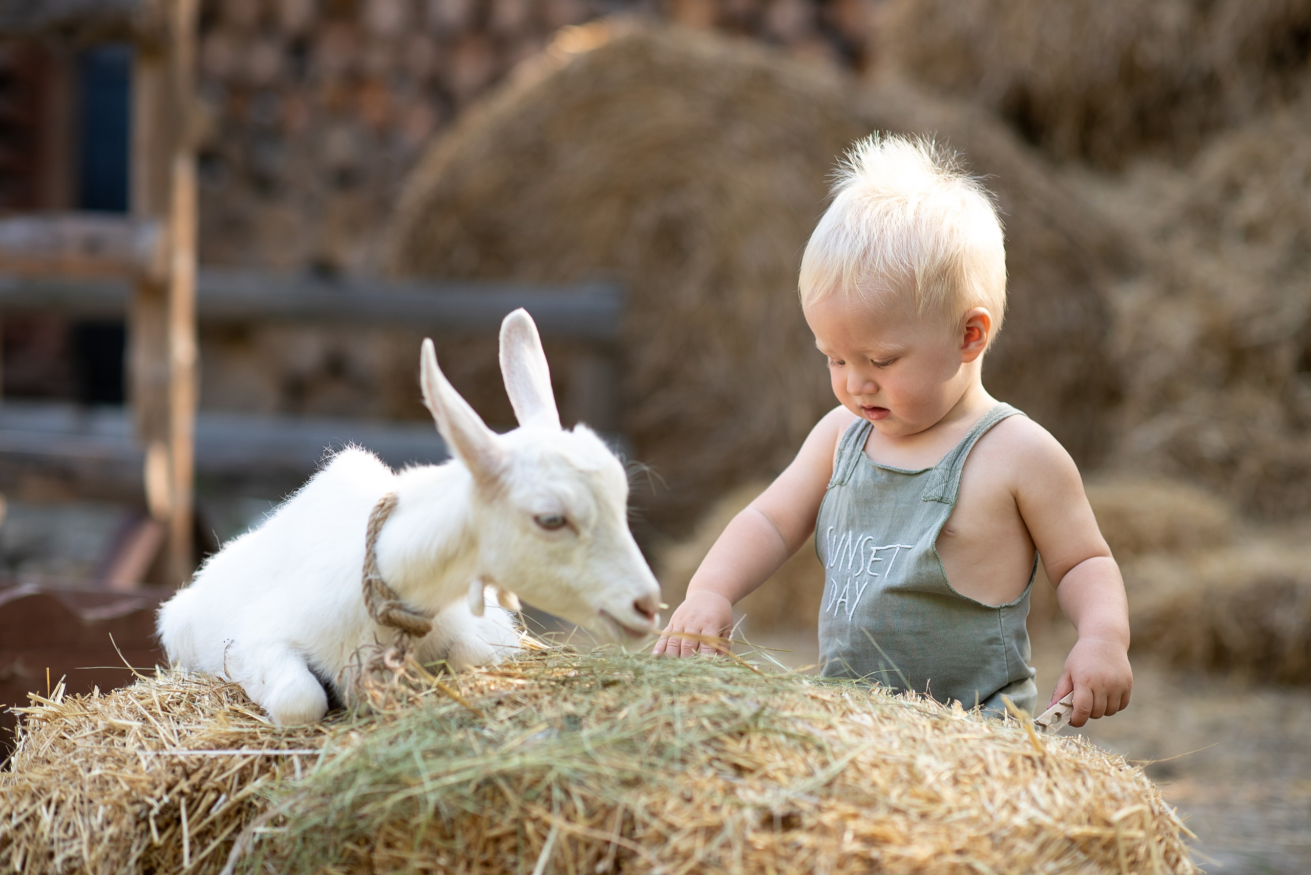 Фотостудия Лес Чудес. Фотограф Мария Усманова, Казань