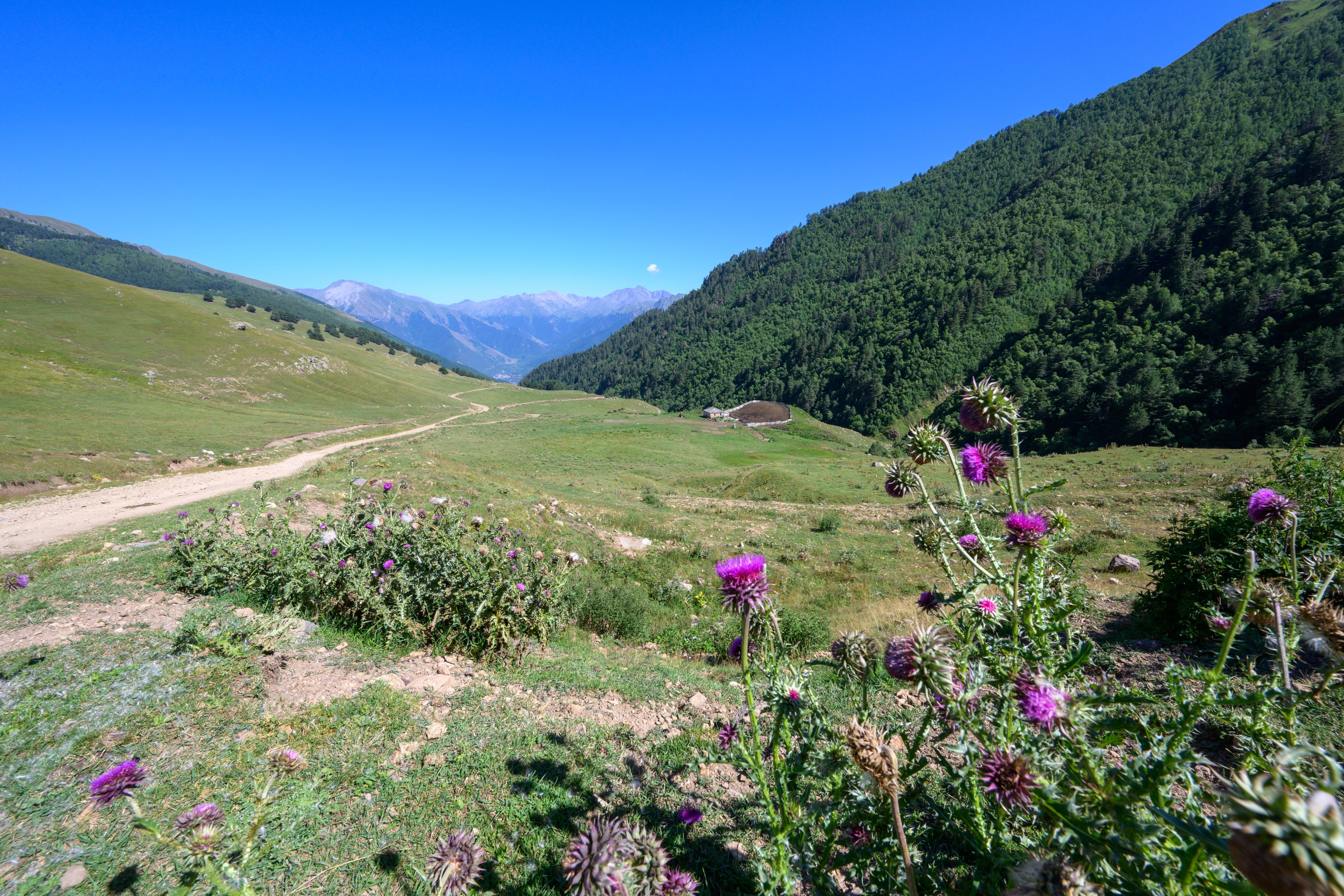 Экспедиция 2025