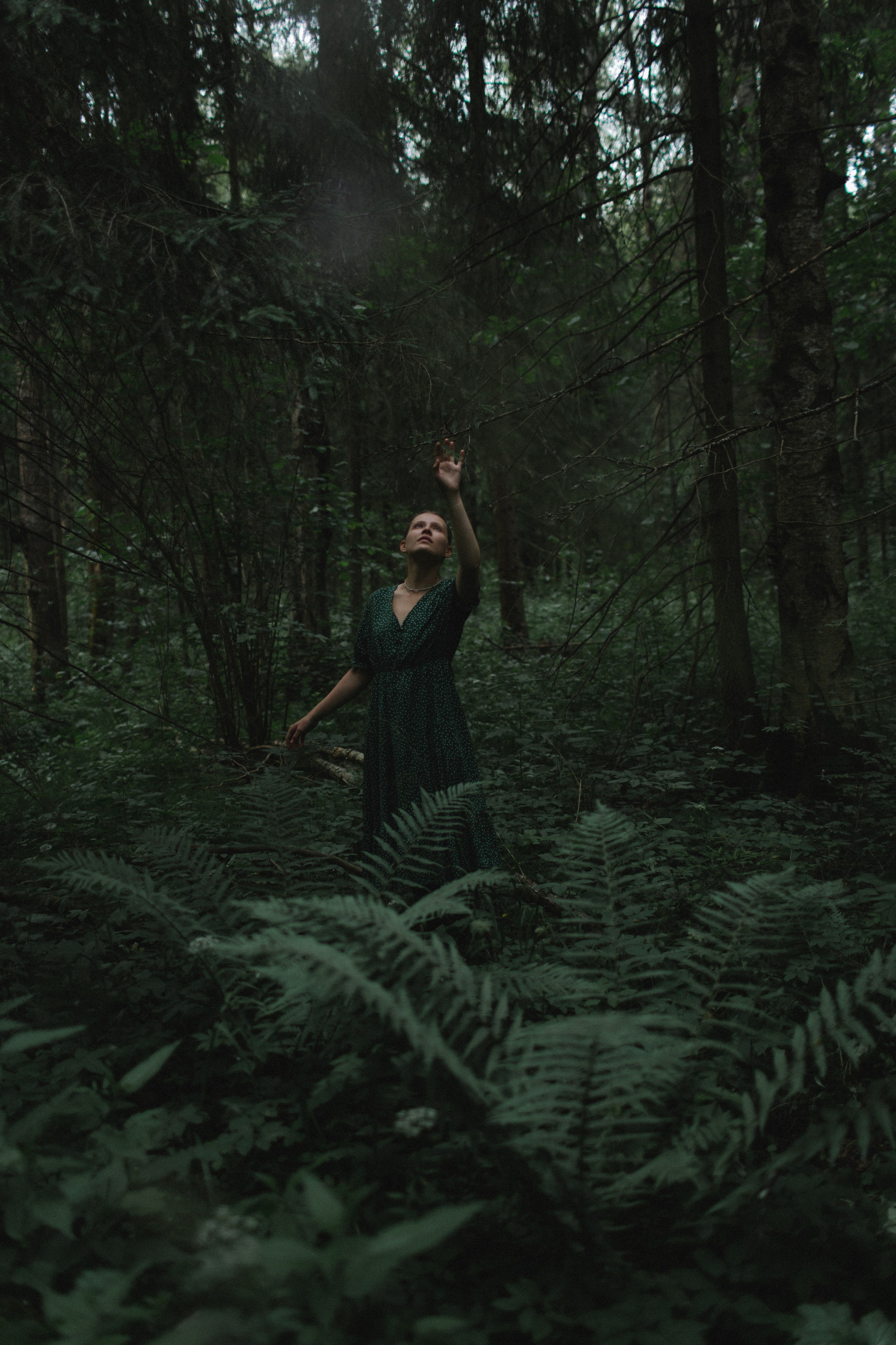 Загадка папоротника. Свадебный и репортажный фотограф в Ярославле и Санкт-Петербурге Роман Микрюков