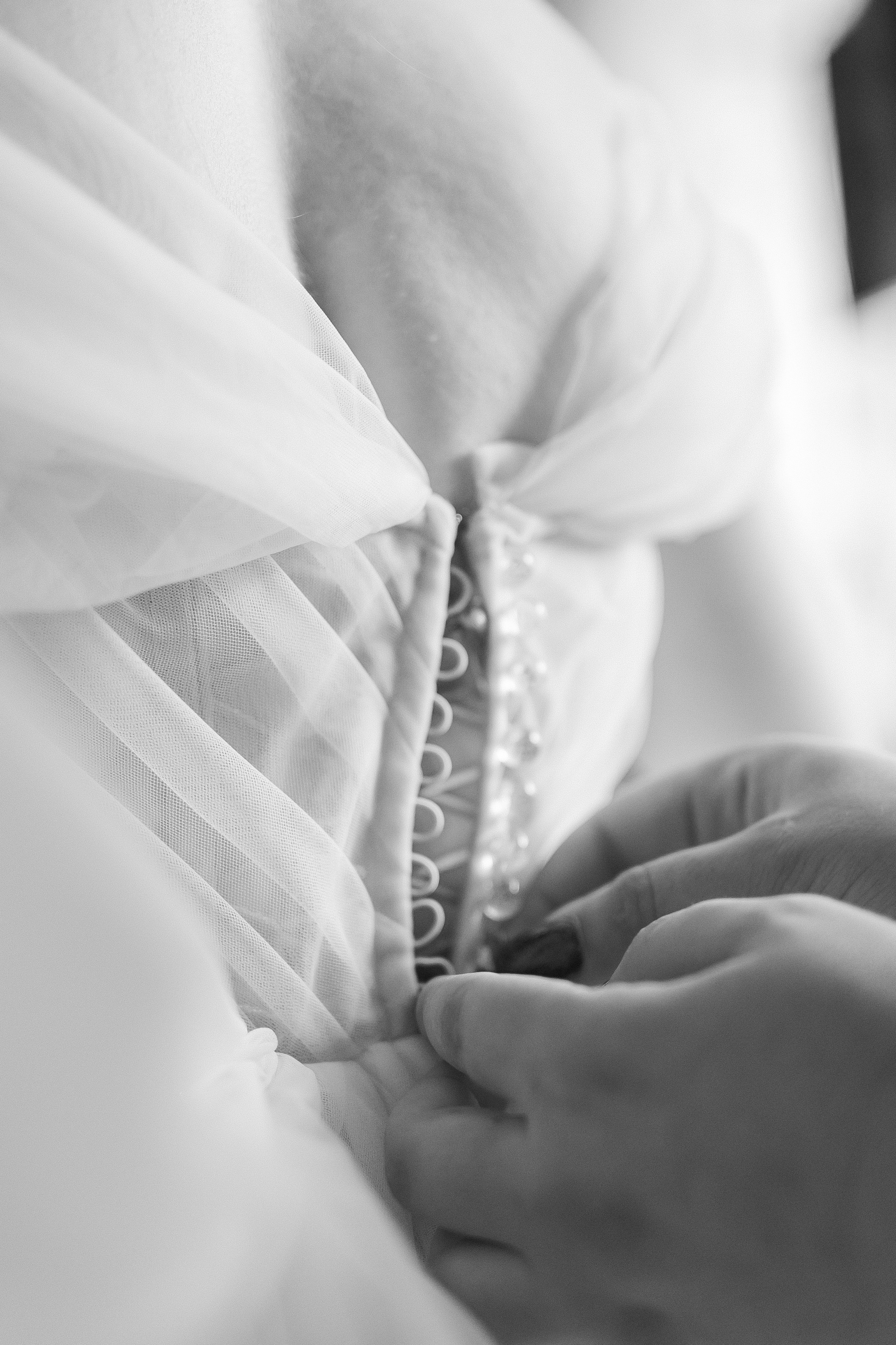 Артем и Анастасия. Свадебный и семейный фотограф в Волгограде Наталья Наумова