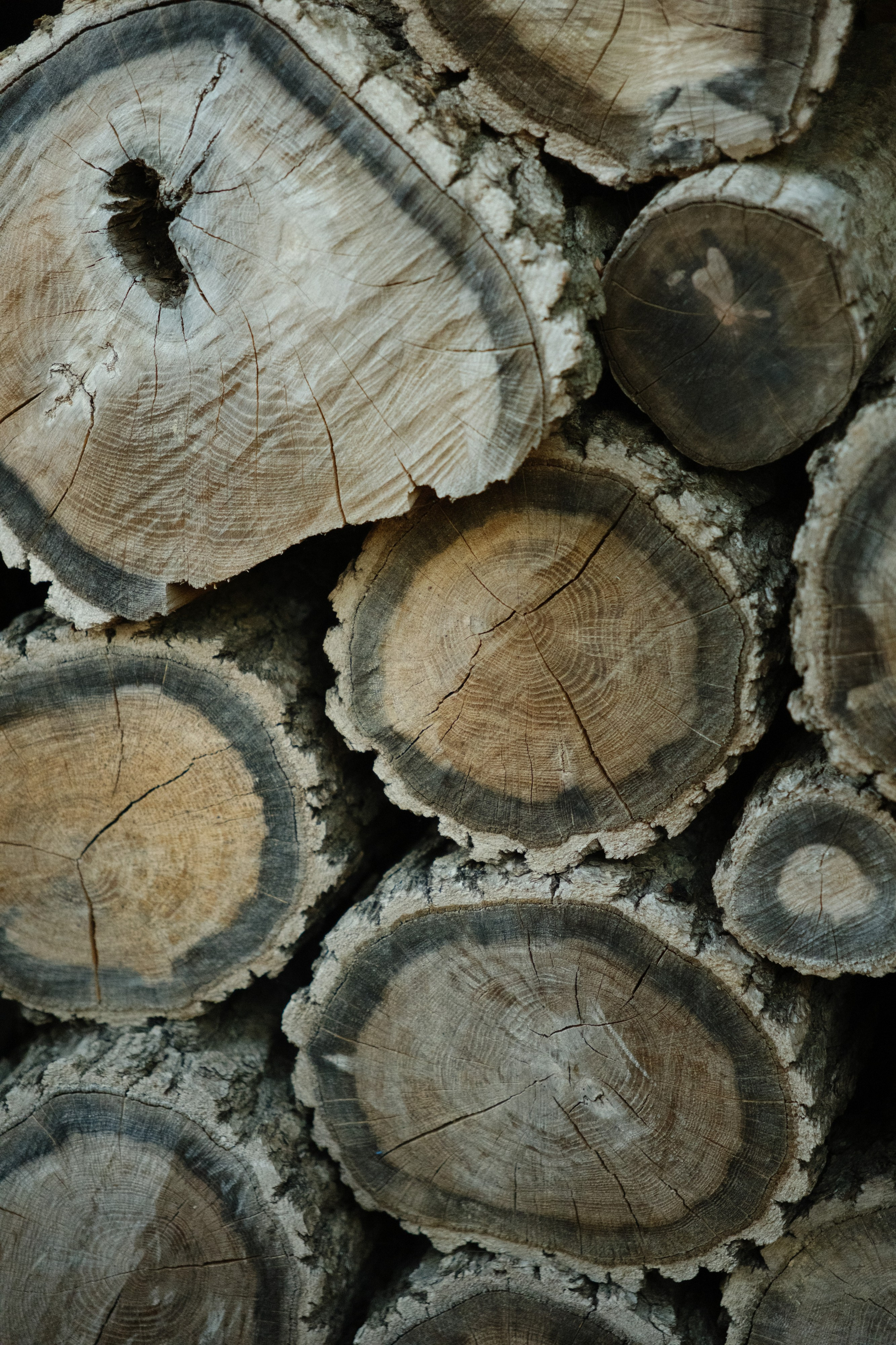 Андрей и Дари. Фотограф в Сочи Краснодар Москва Руслан Поляков