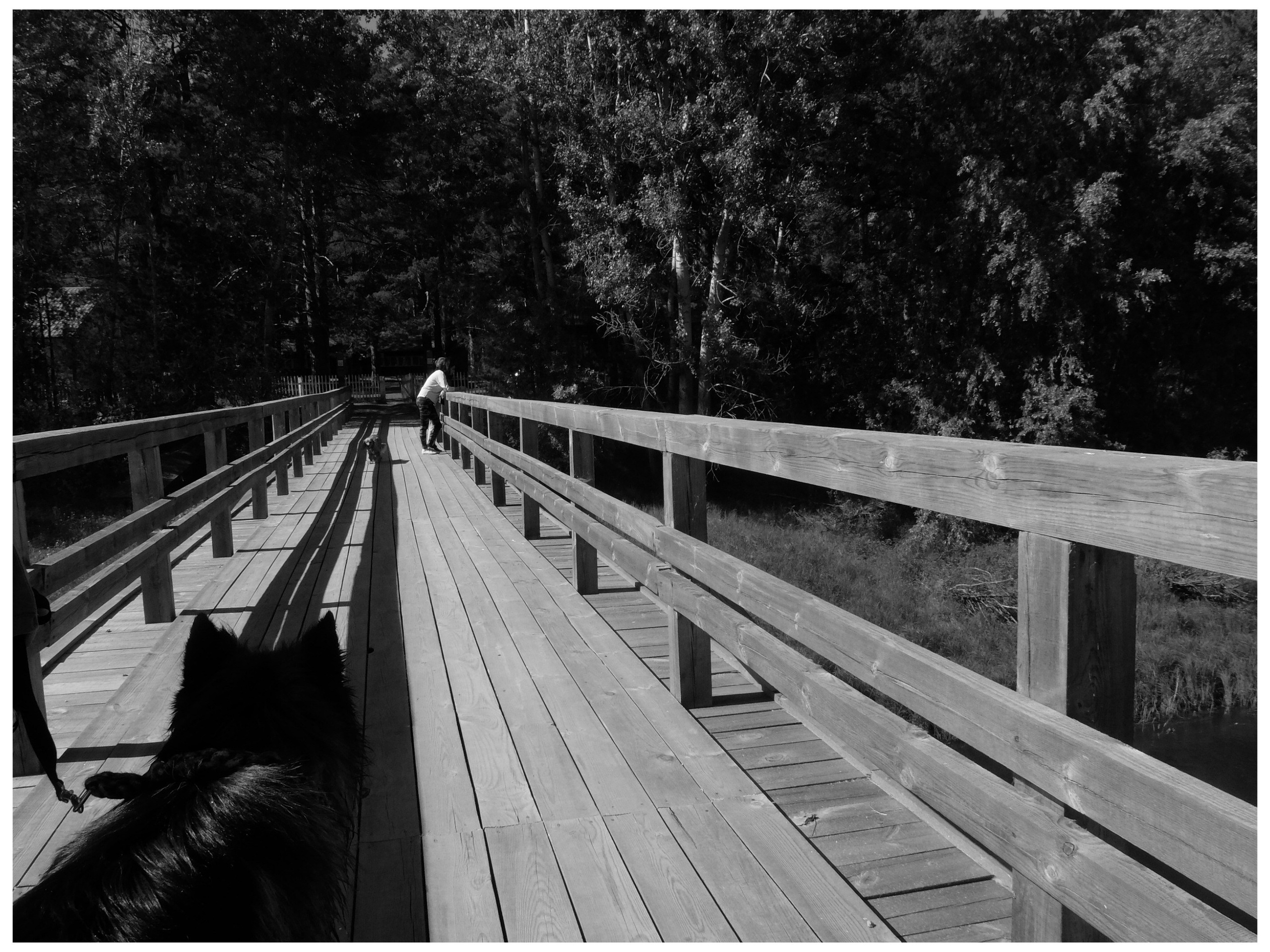 Промежуточные моменты (2022)