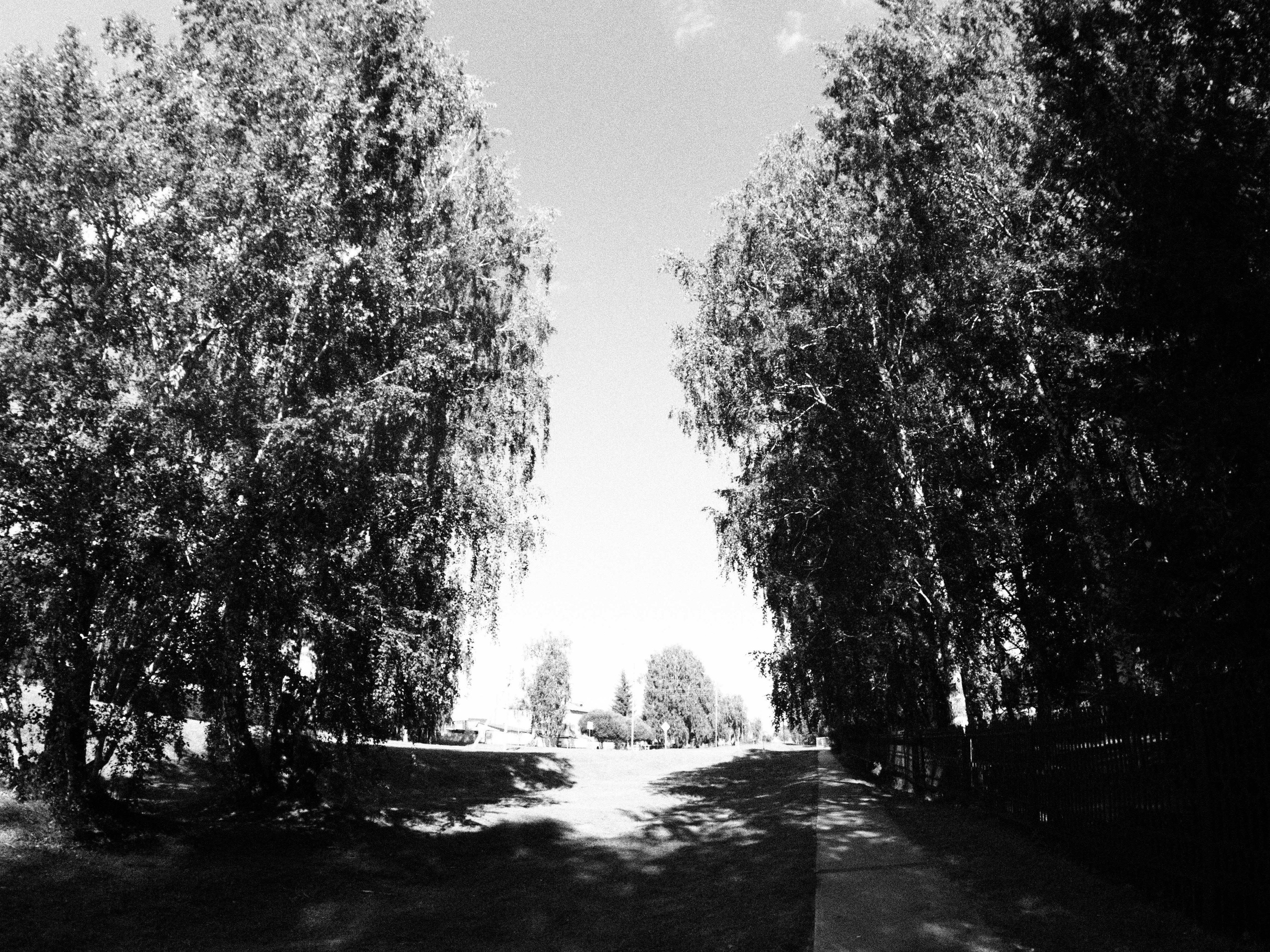 Промежуточные моменты (2023)