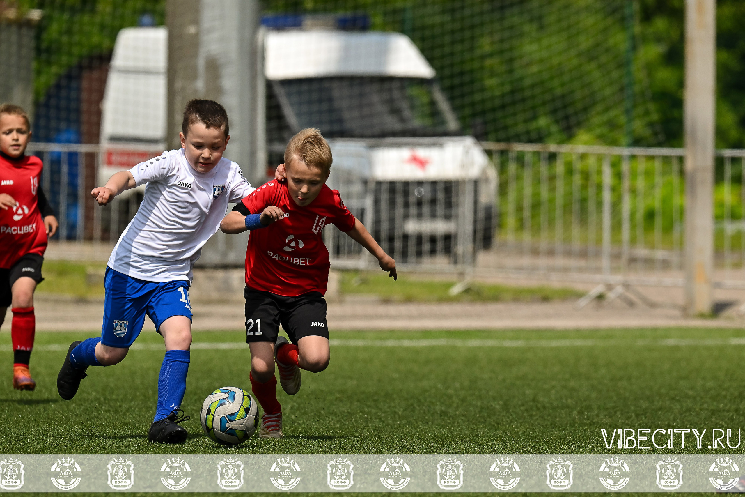 Большие Звезды светят Малым. VIBECITY.RU Вайб Сити Ру Фоторепортажи Фотоотчеты Калининград