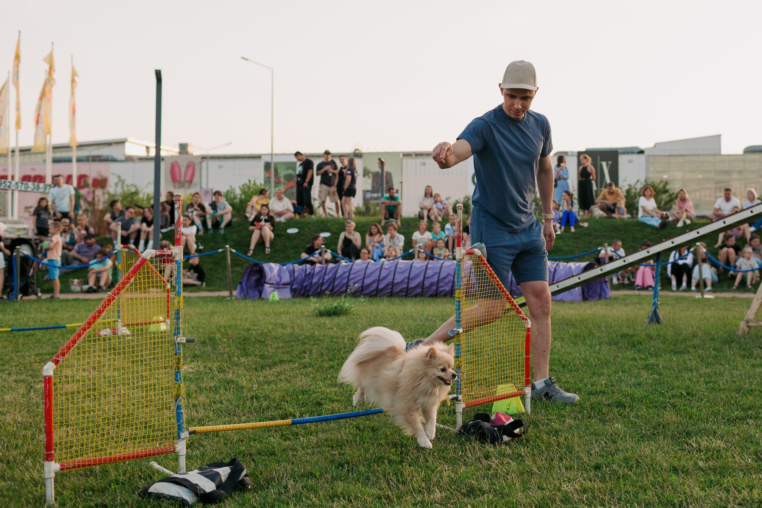 Dog Fest 2024. Главная