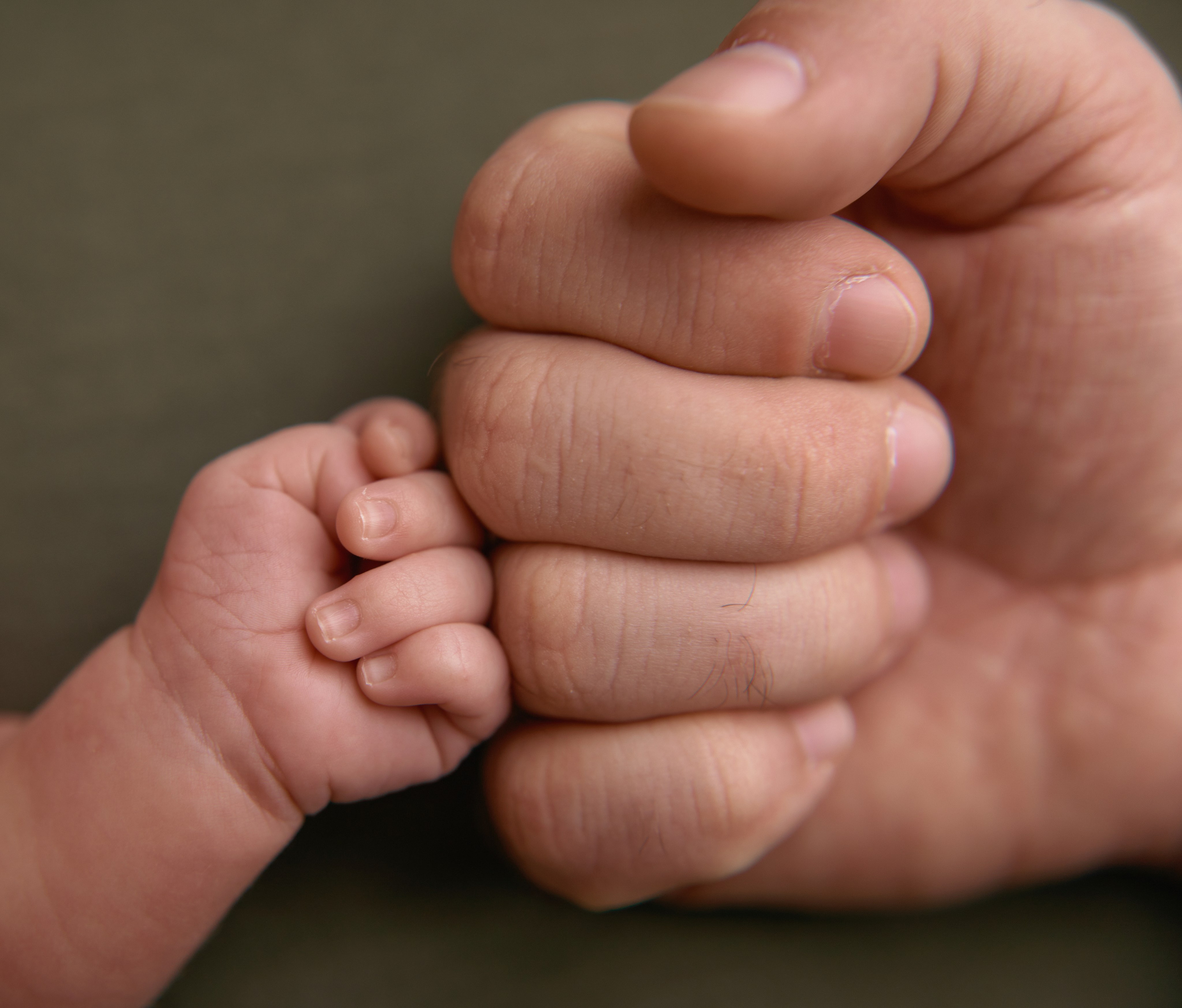 Тариф ПРЕМИУМ. Профессиональный фотограф новорождённых в Москве Елена Сатюкова