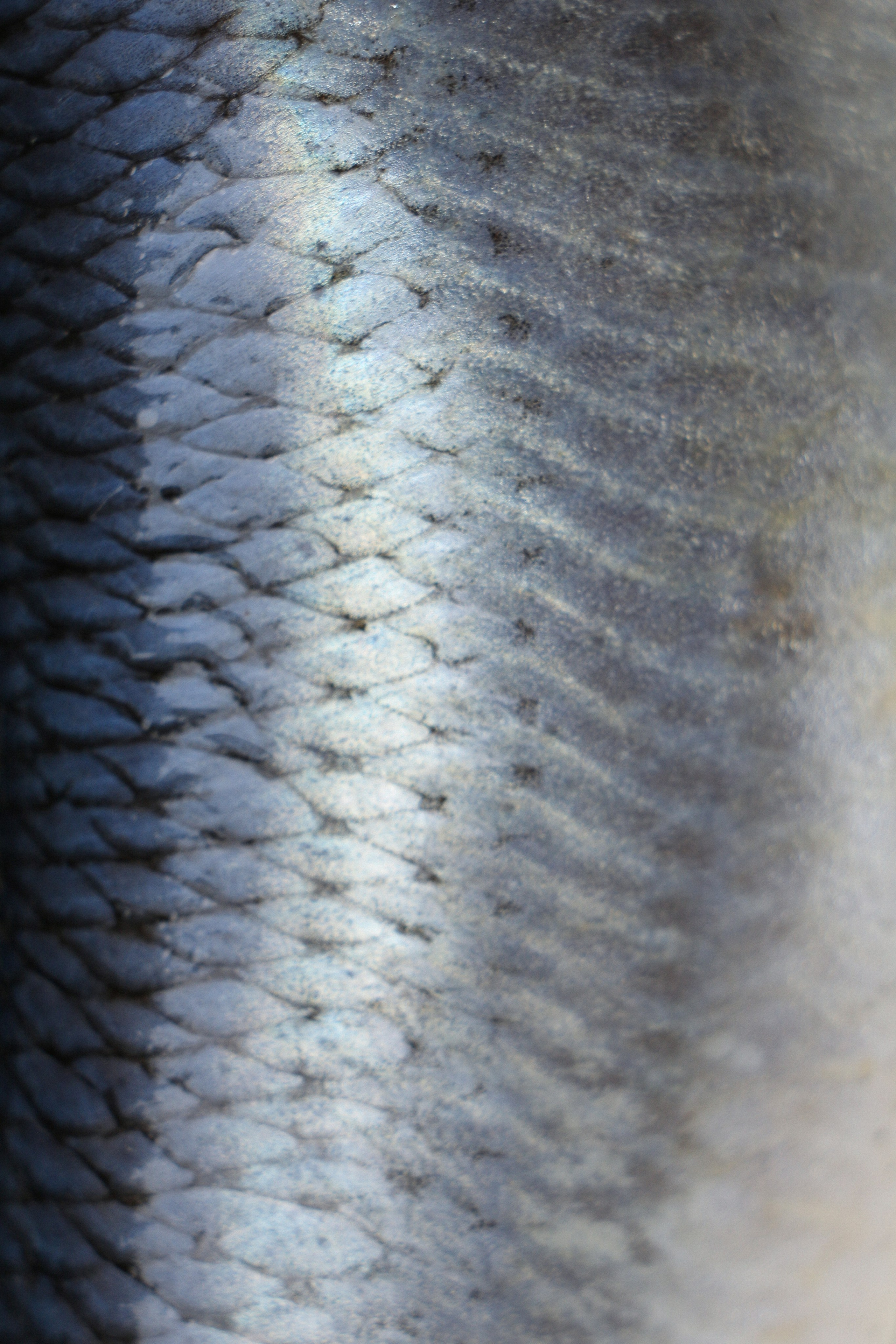 Dolce vita. Контент-фотограф Калининград АНАСТАСИЯ ТКАЧЕВА