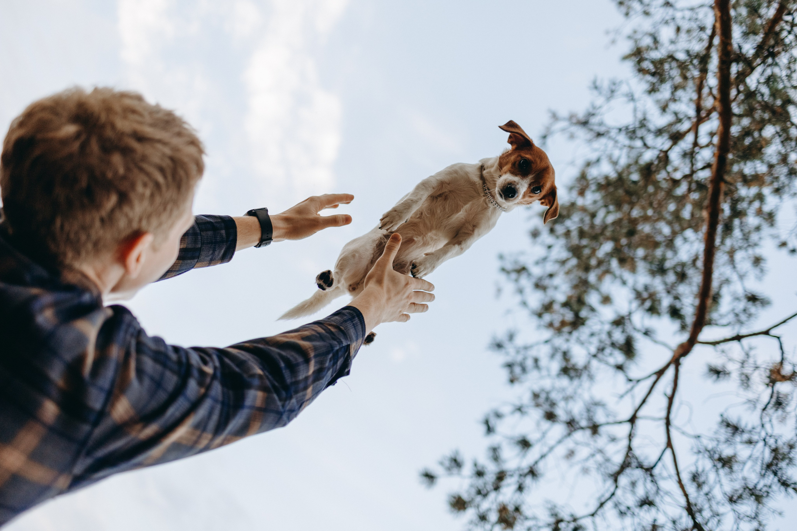 Лея и ее семья. Фотограф — Анималист | Санкт-Петербург