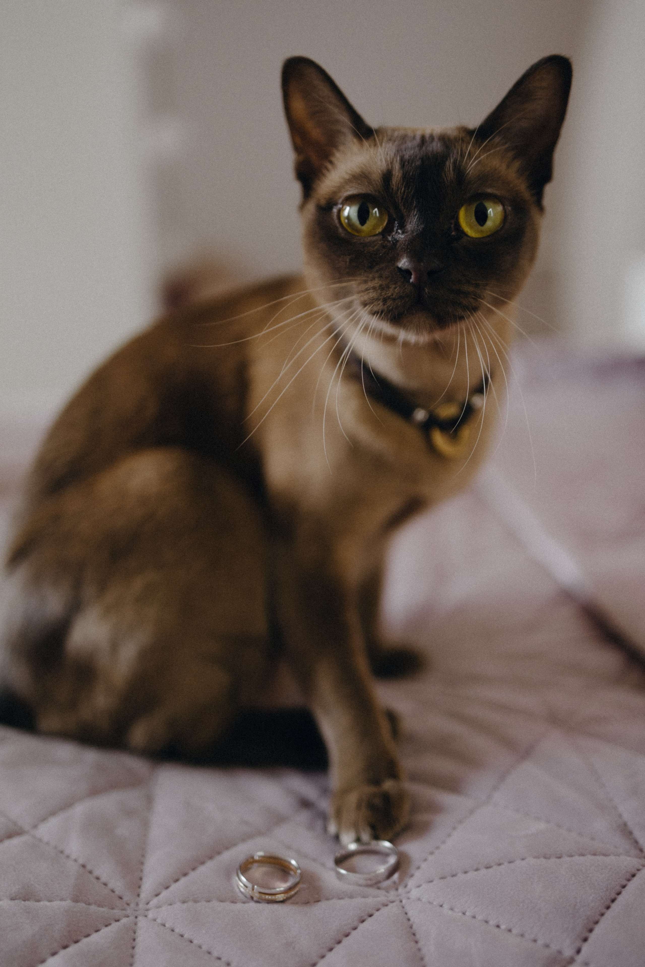 Анонс со свадьбы Надежды и Руслана. Свадебный фотограф Москва и другие города