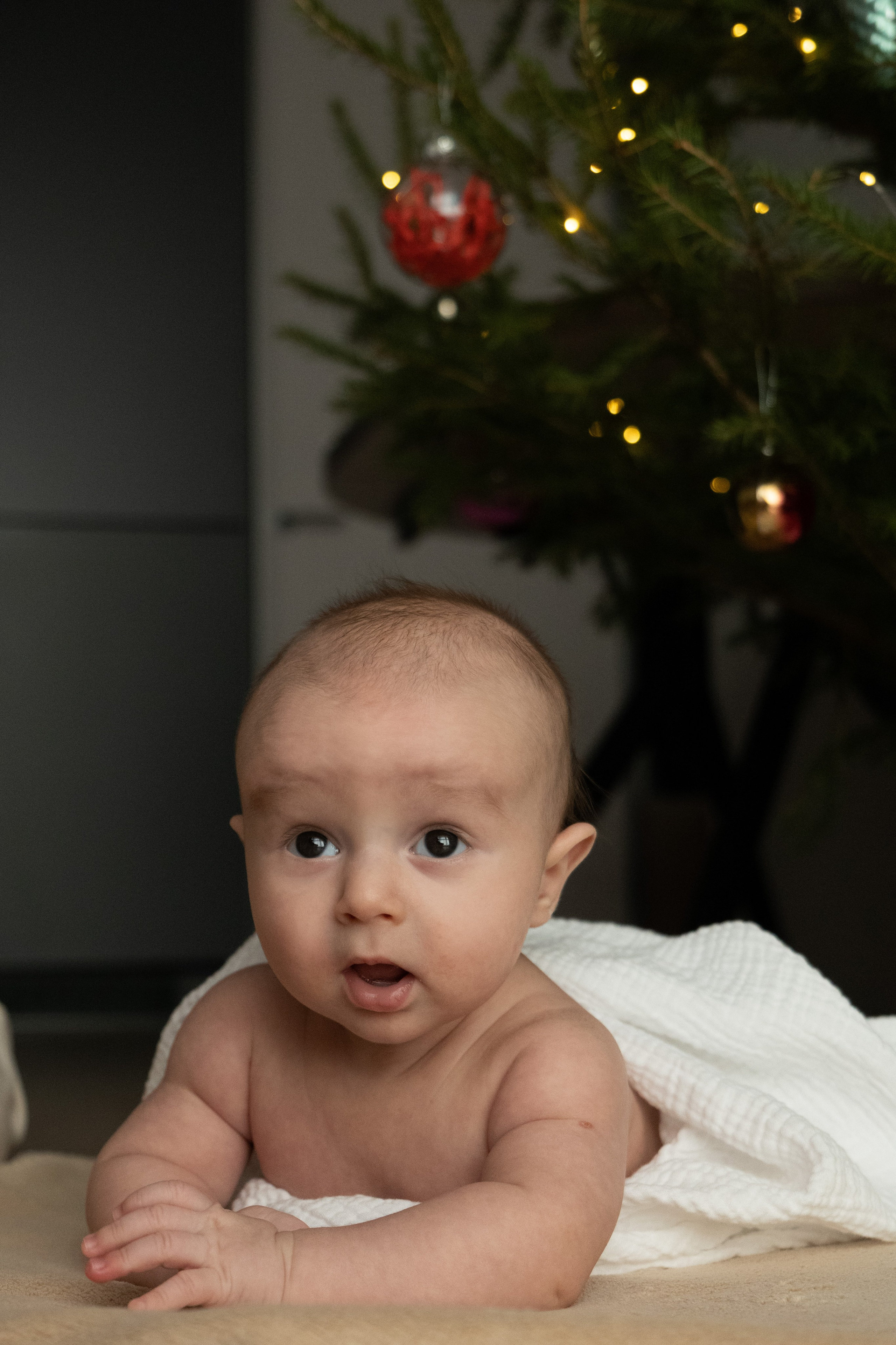 Домашняя новогодняя фотосессия с малышом. Фотограф видеограф Ольга Василевская
