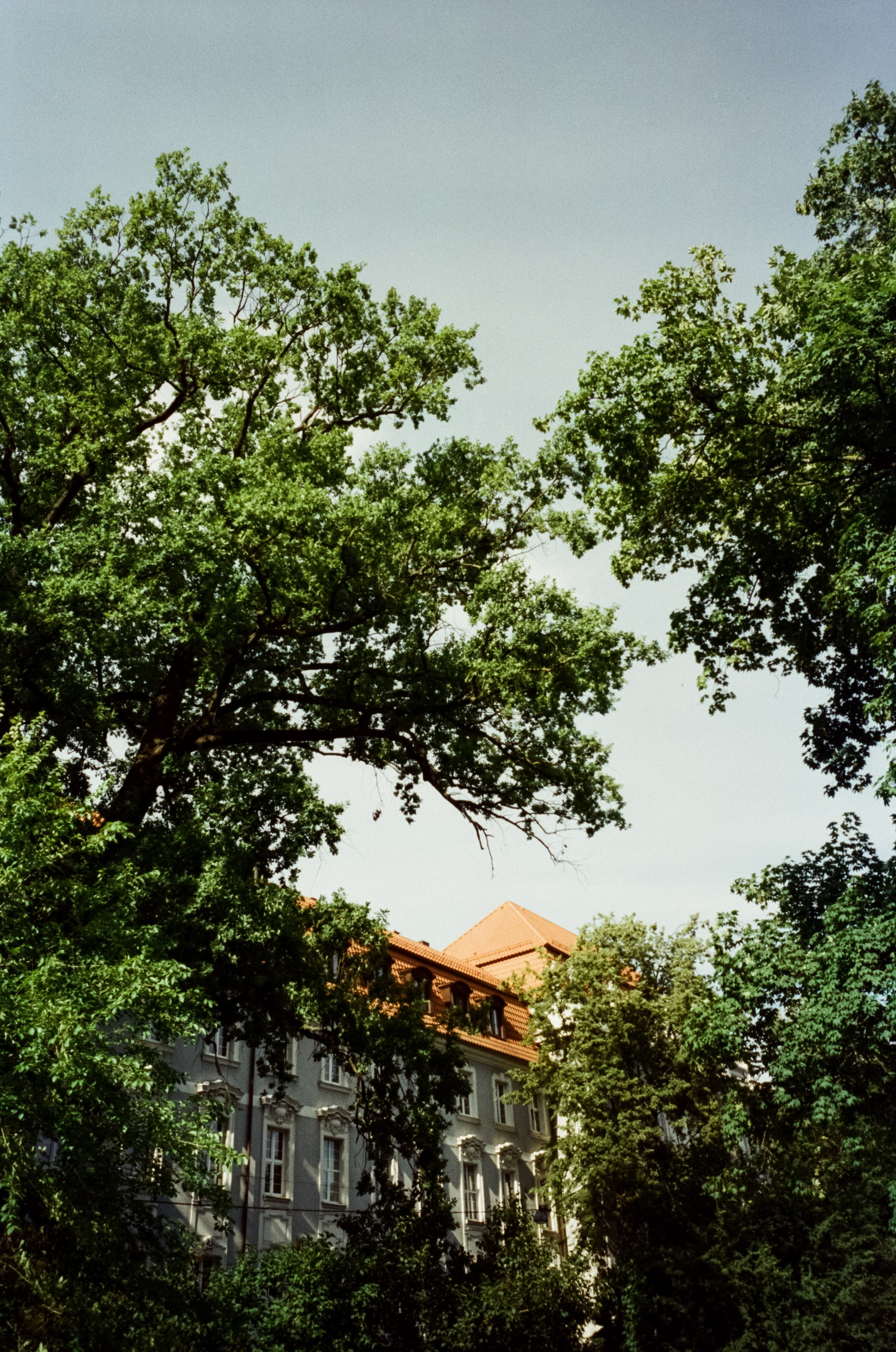 Прогулка от Площади Победы к Amalienau в golden hour. Фотограф-документалист Мария Осокина