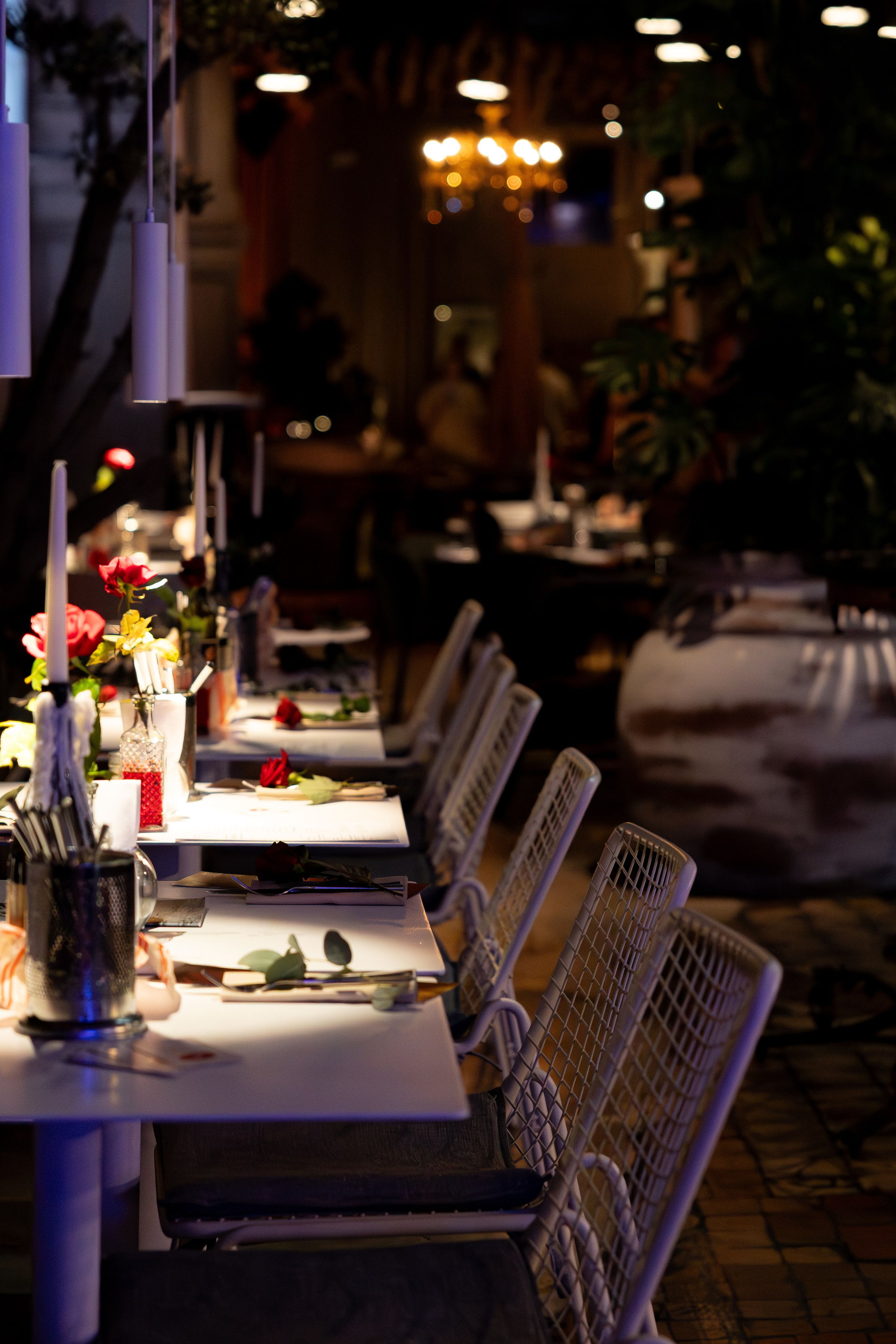 НЕ классический гастрономический ужин Gastrodvor. Дженбаз Павел — фотограф в Ялте