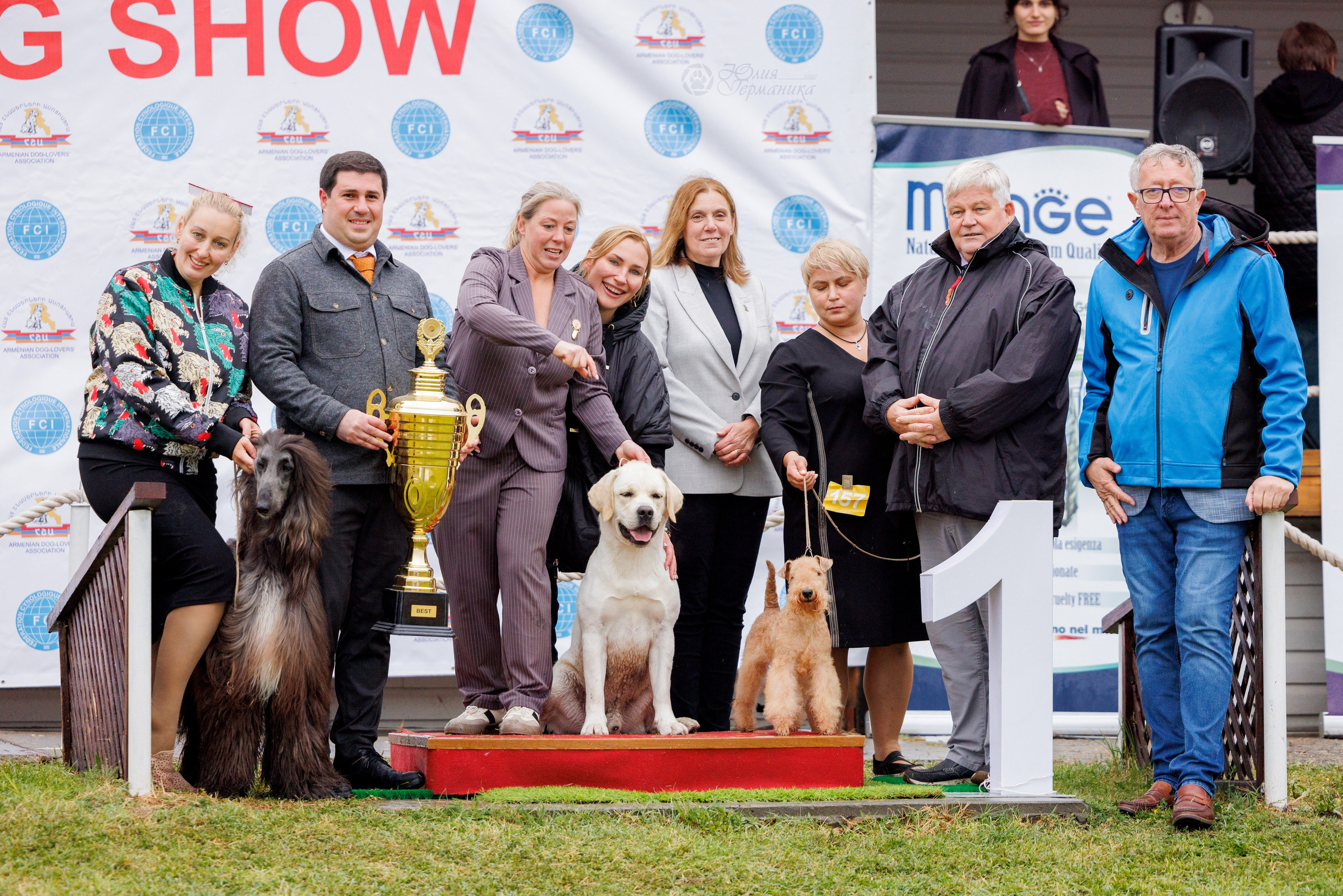Армения,Ереван 3хCACIB 15-17.10.2024. Фотограф-анималист Юлия Германика