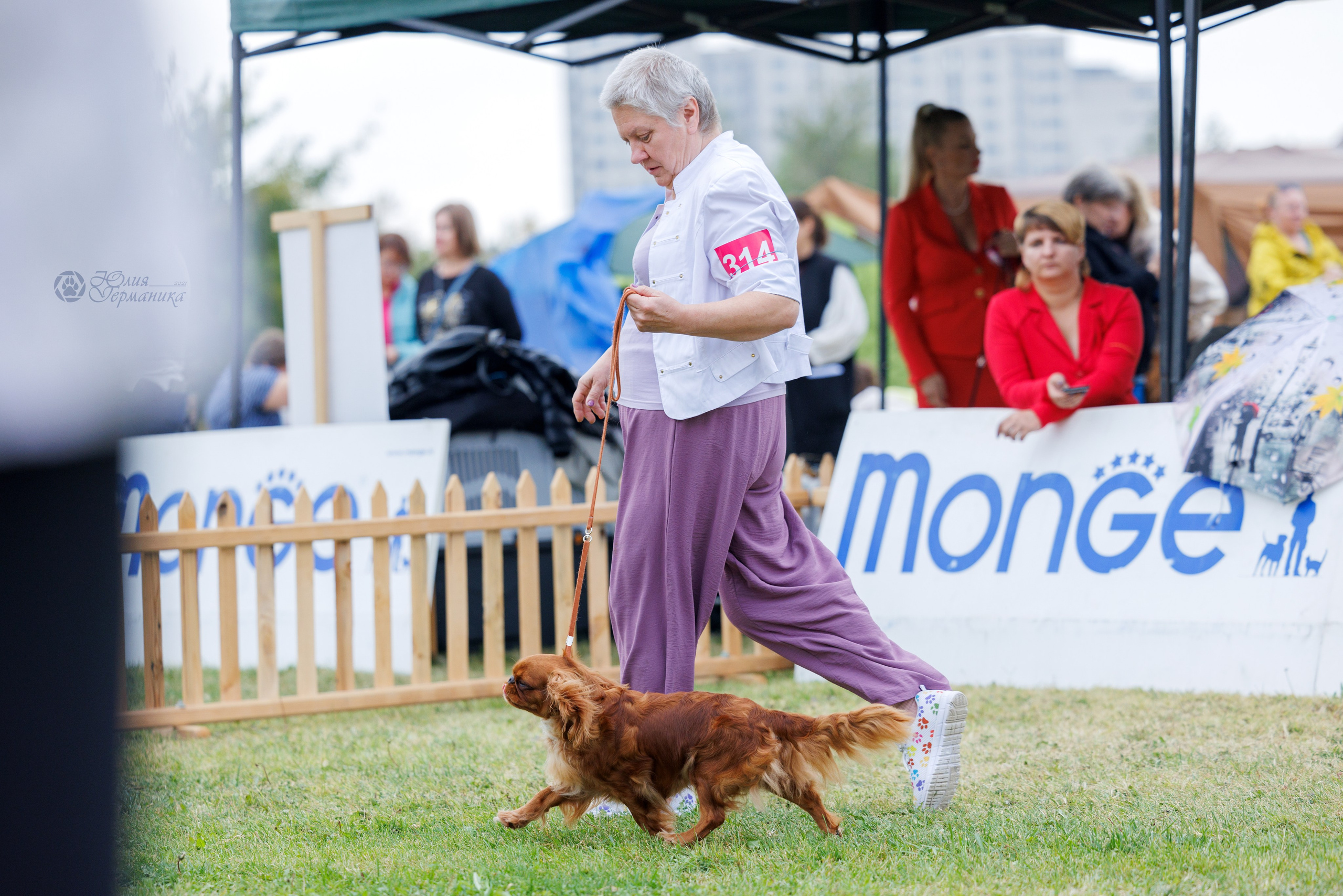 Армения,Ереван 3хCACIB 15-17.10.2024. Фотограф-анималист Юлия Германика