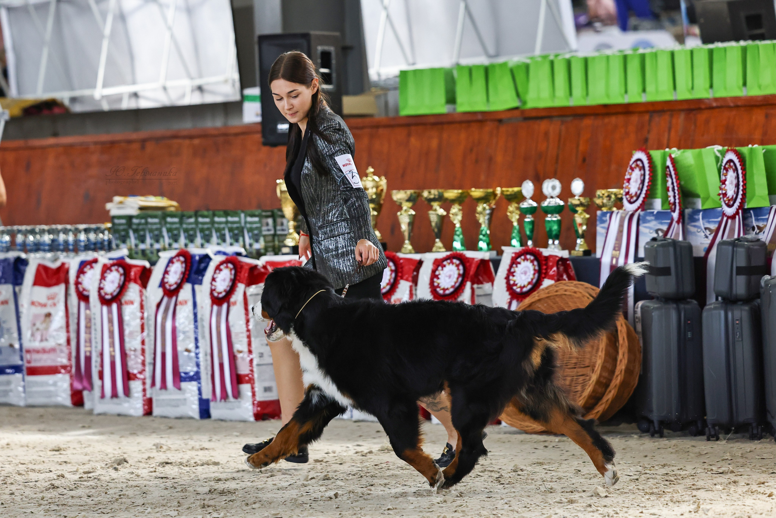 Астана 2хCACIB 26-28.09.2025. Фотограф-анималист Юлия Германика