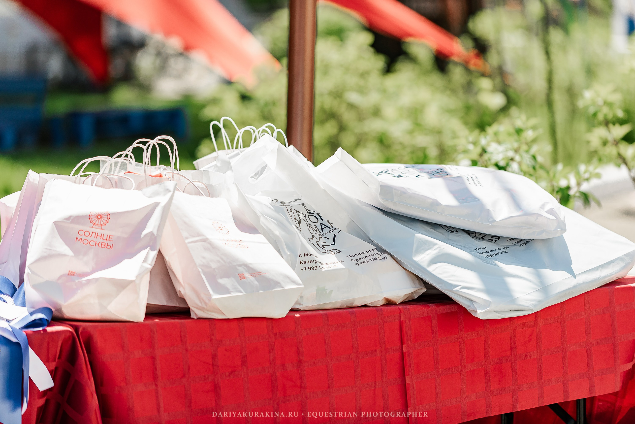 #ПОНИФОРУМ 2024. Конный фотограф Куракина Дарья • Фотосессии с лошадьми