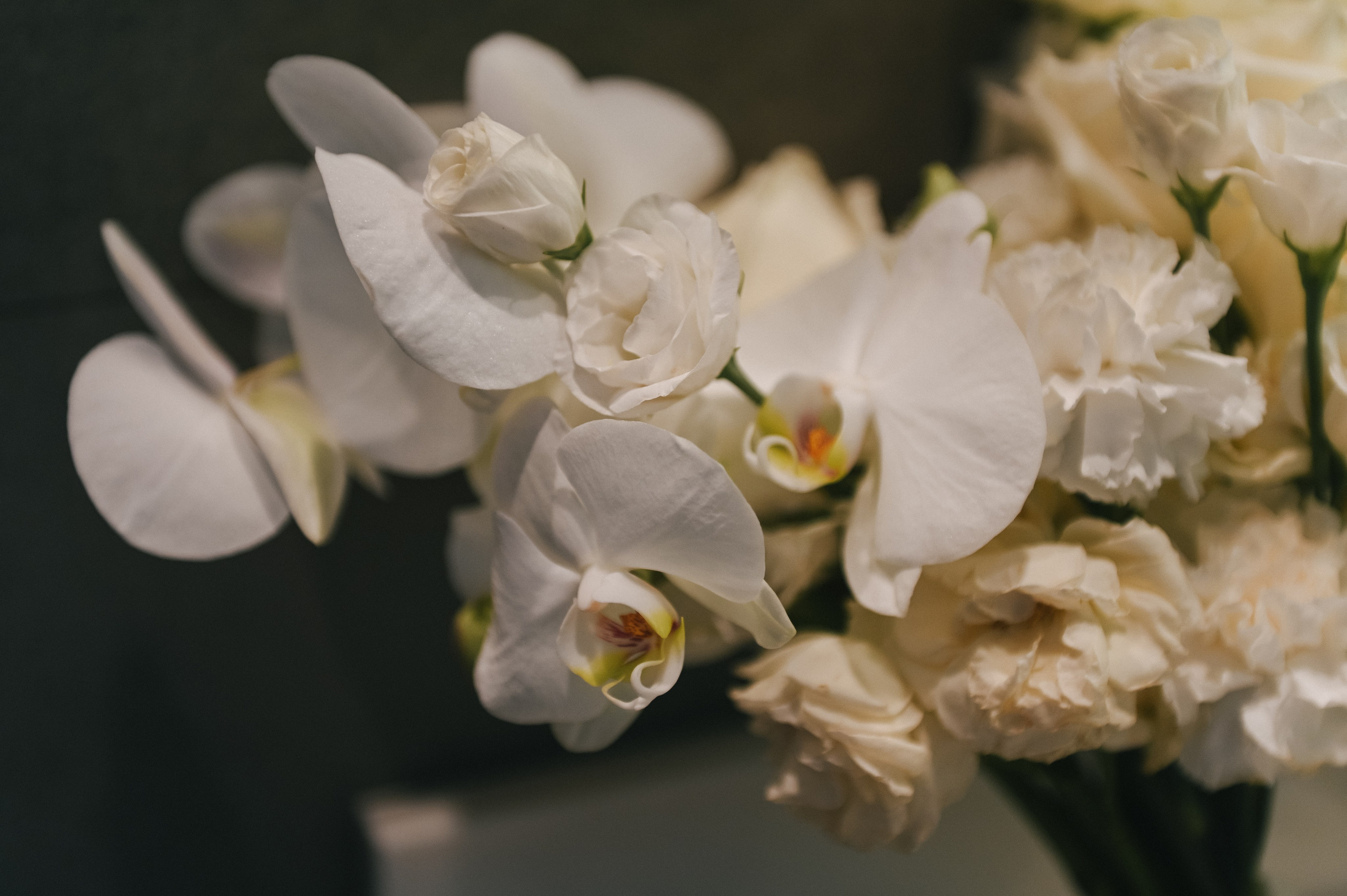 Саша + Катя. Свадебный и семейный фотограф Волгоград Москва