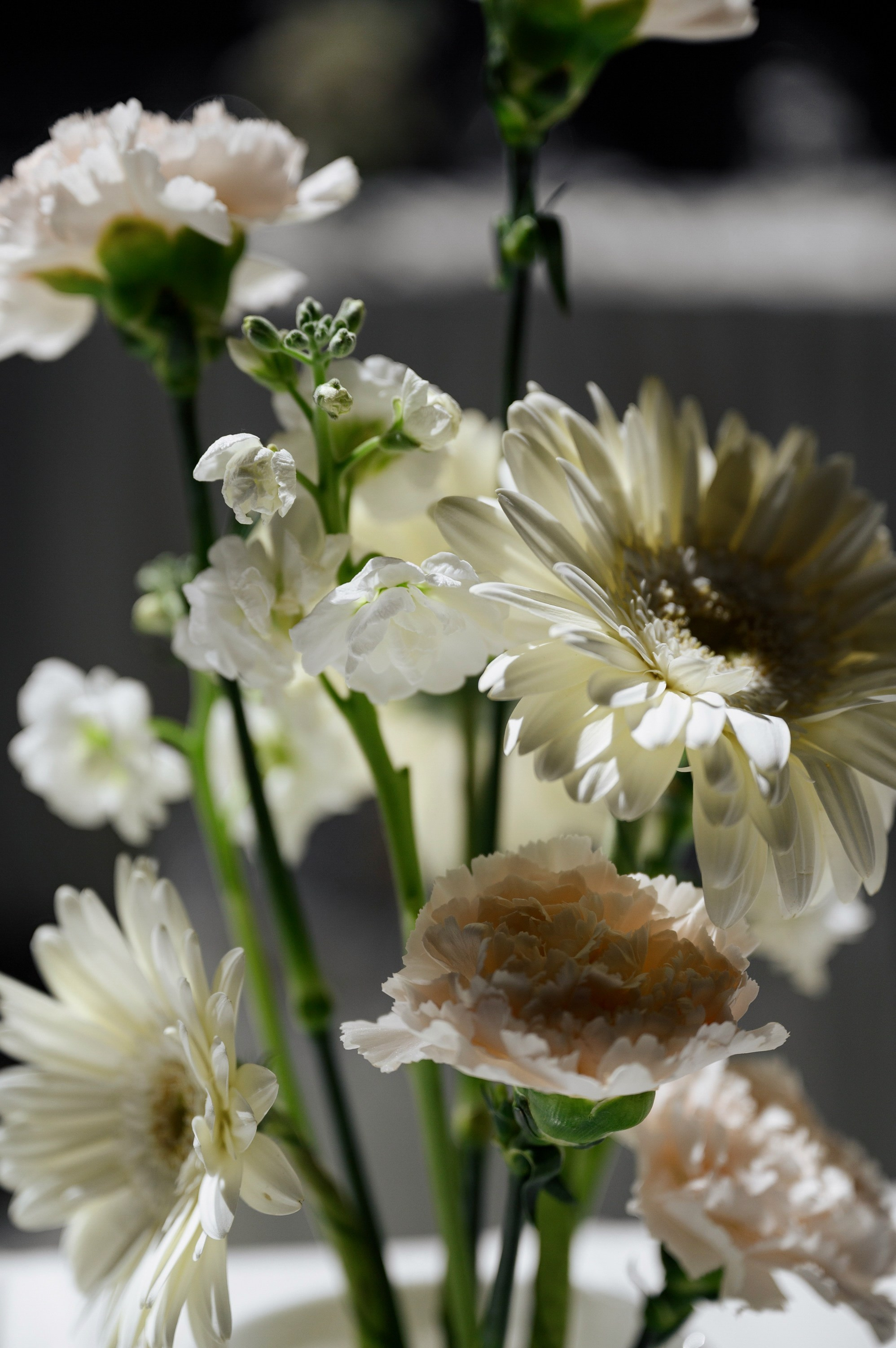 Владислав и Анна. Zhulanovilya