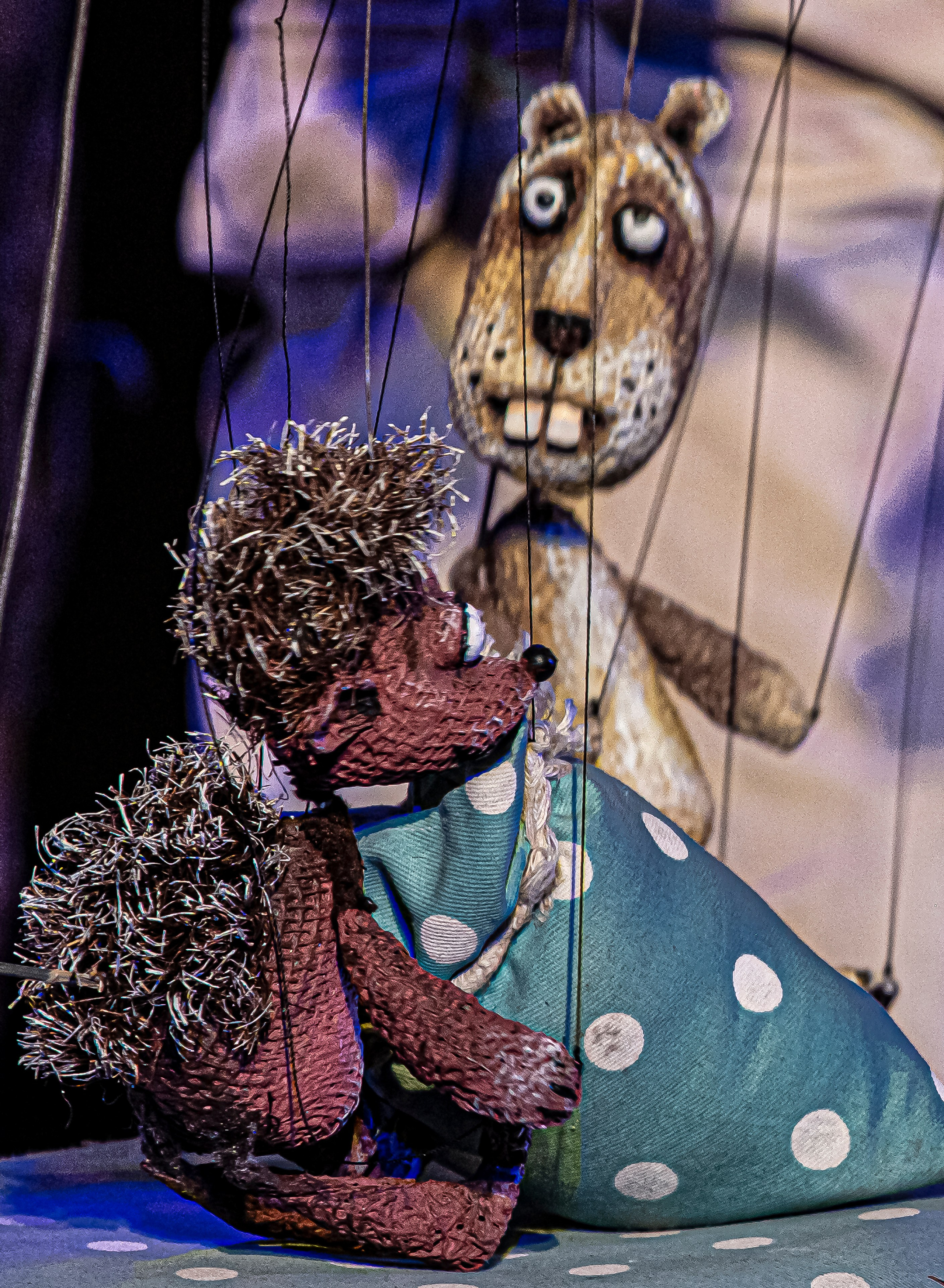 Колючая сказка. Фотограф в Сочи Юрий Шептаев