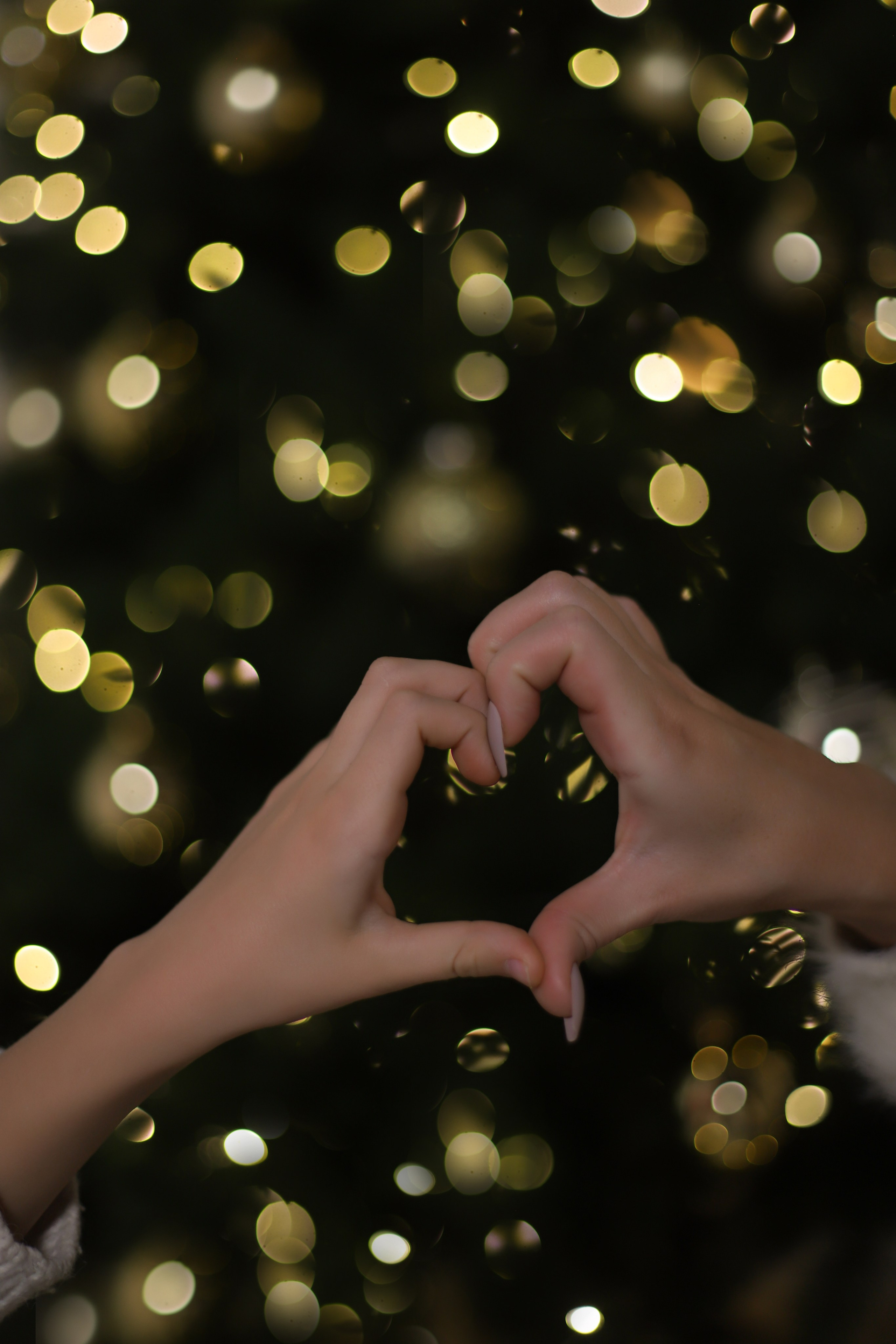 Новогодняя сказка 12.12.23. Фотограф Матвеева Татьяна