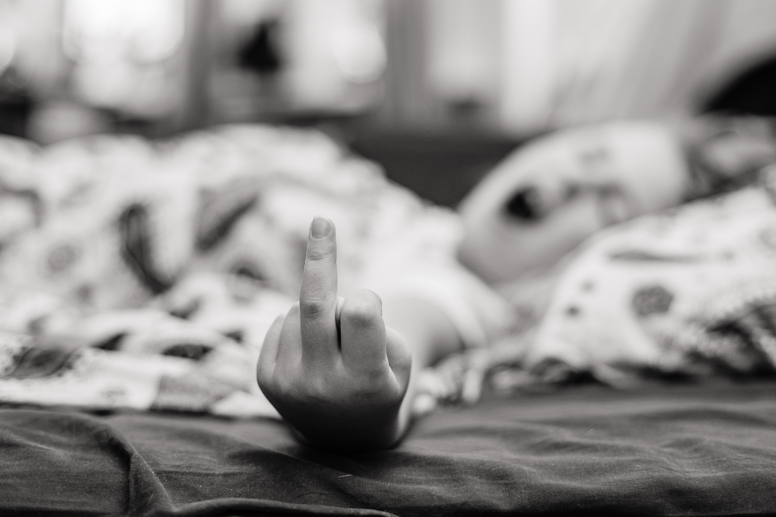 #сидидома. Ева Демидова. Спортсмен по конкуру в Санкт-Петербуре