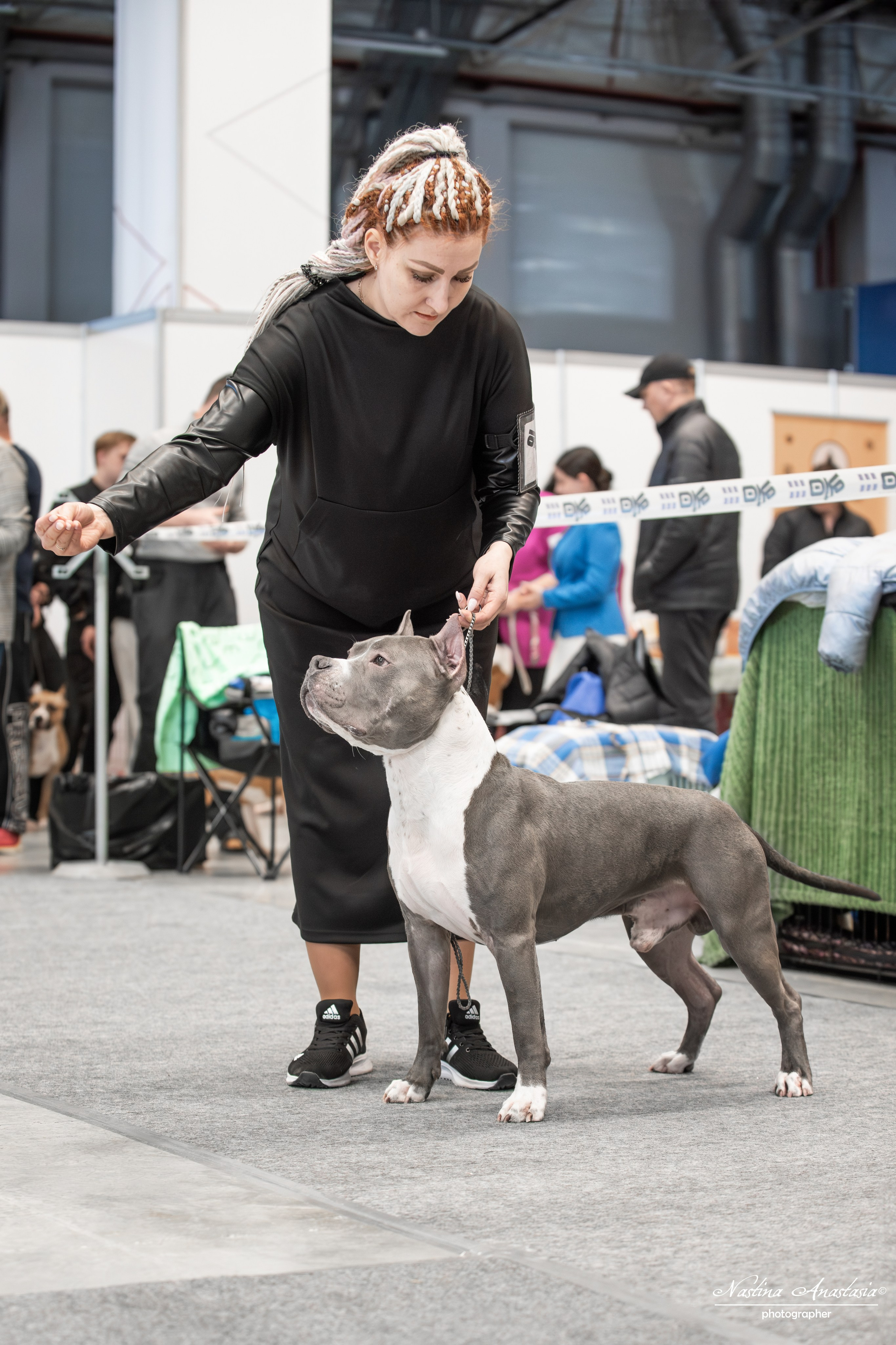 Выставки. Фотограф — Анималист