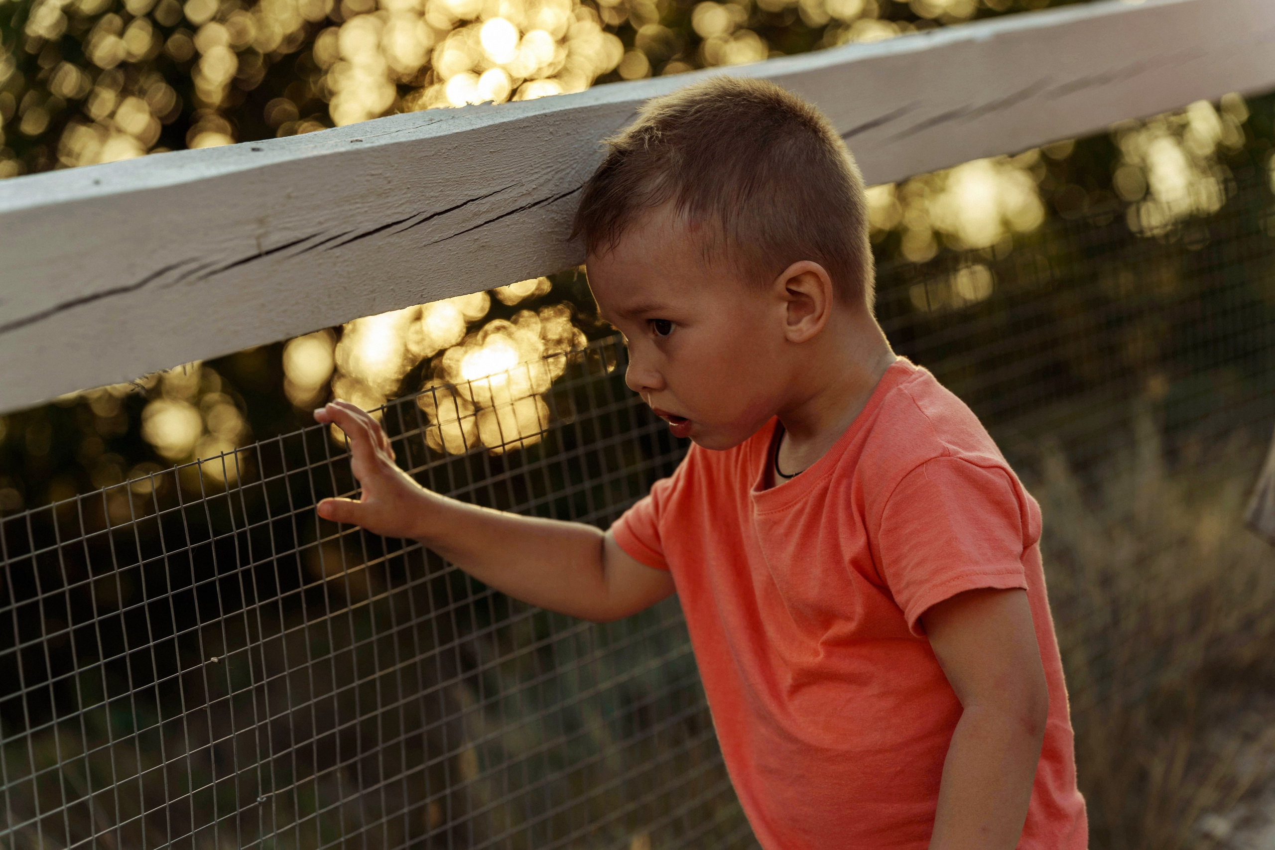 Семейная для Марии в к.Рай. Татьяна Тагель