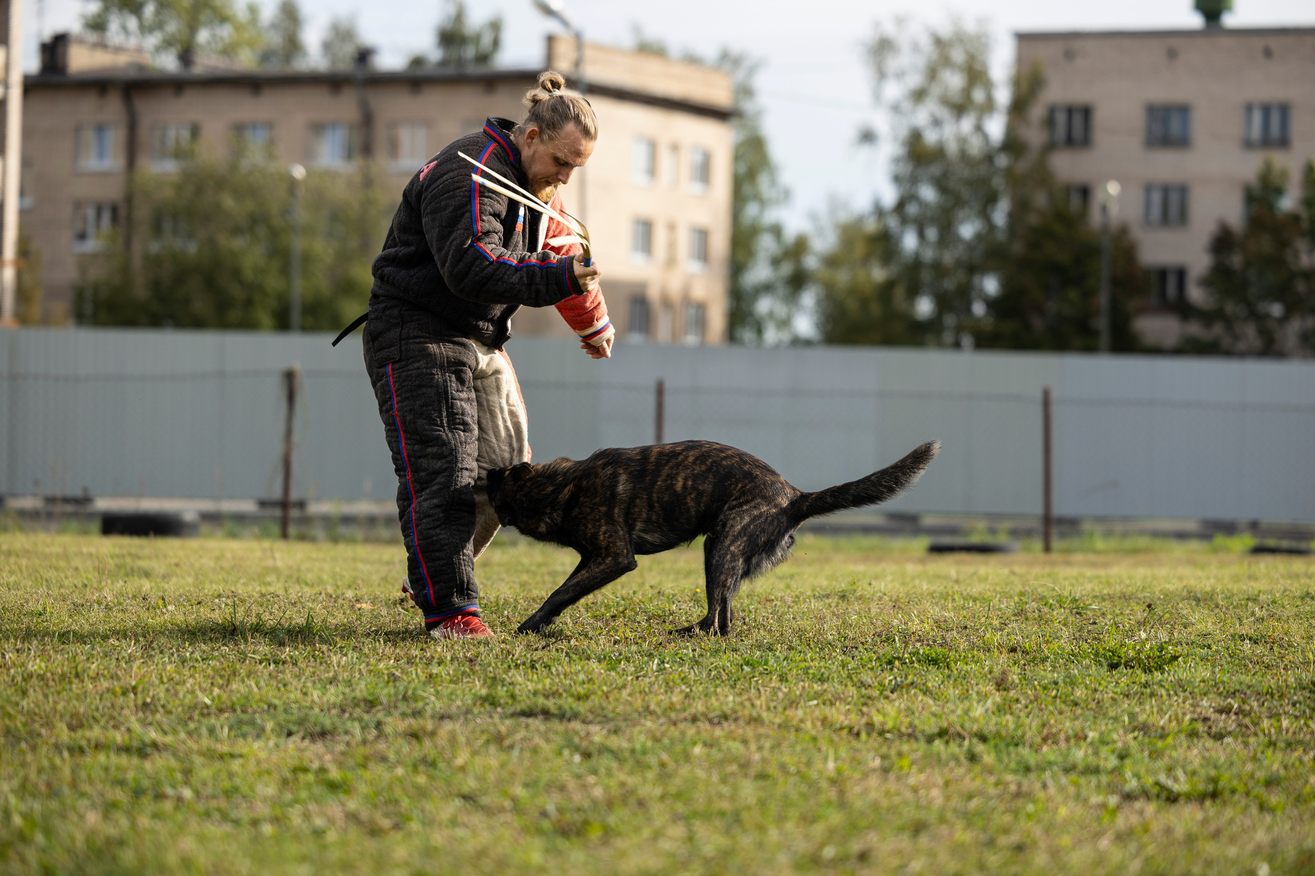 Испытания по Мондьорингу г. Пушкин. Фотограф-анималист Анна Маринич