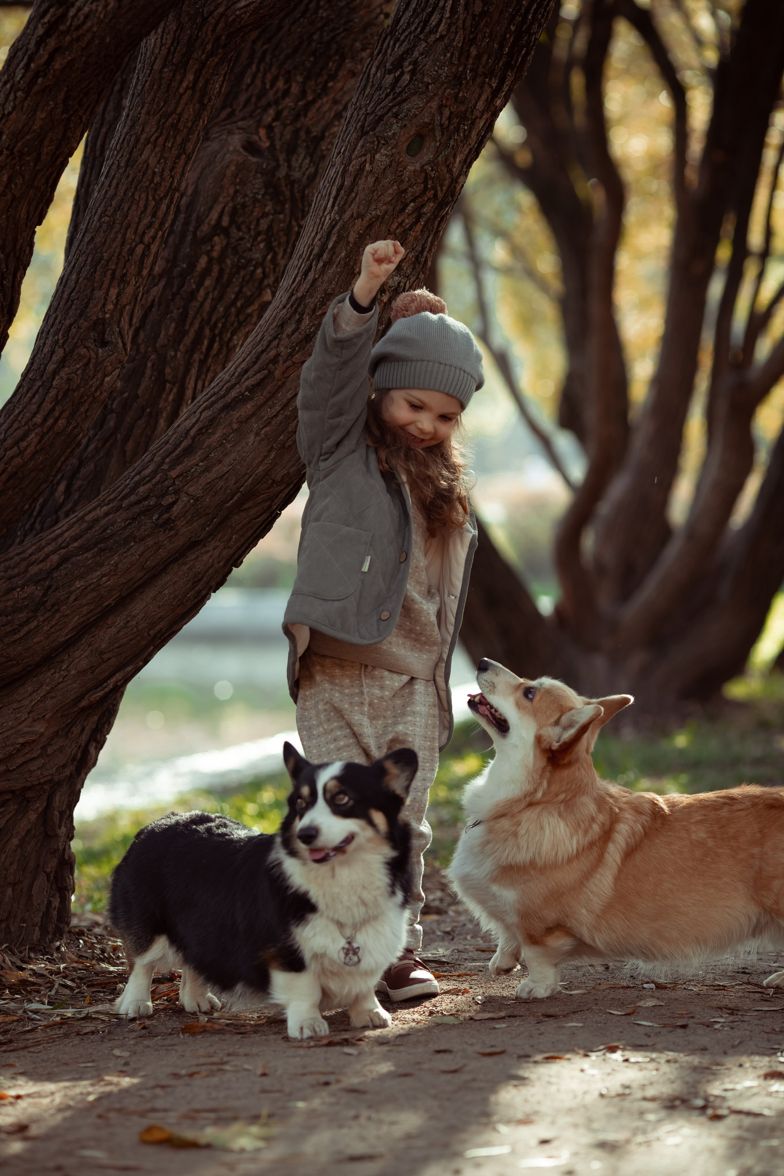 Эва с корги. Семейный и детский фотограф в Москве Дорогова Екатерина