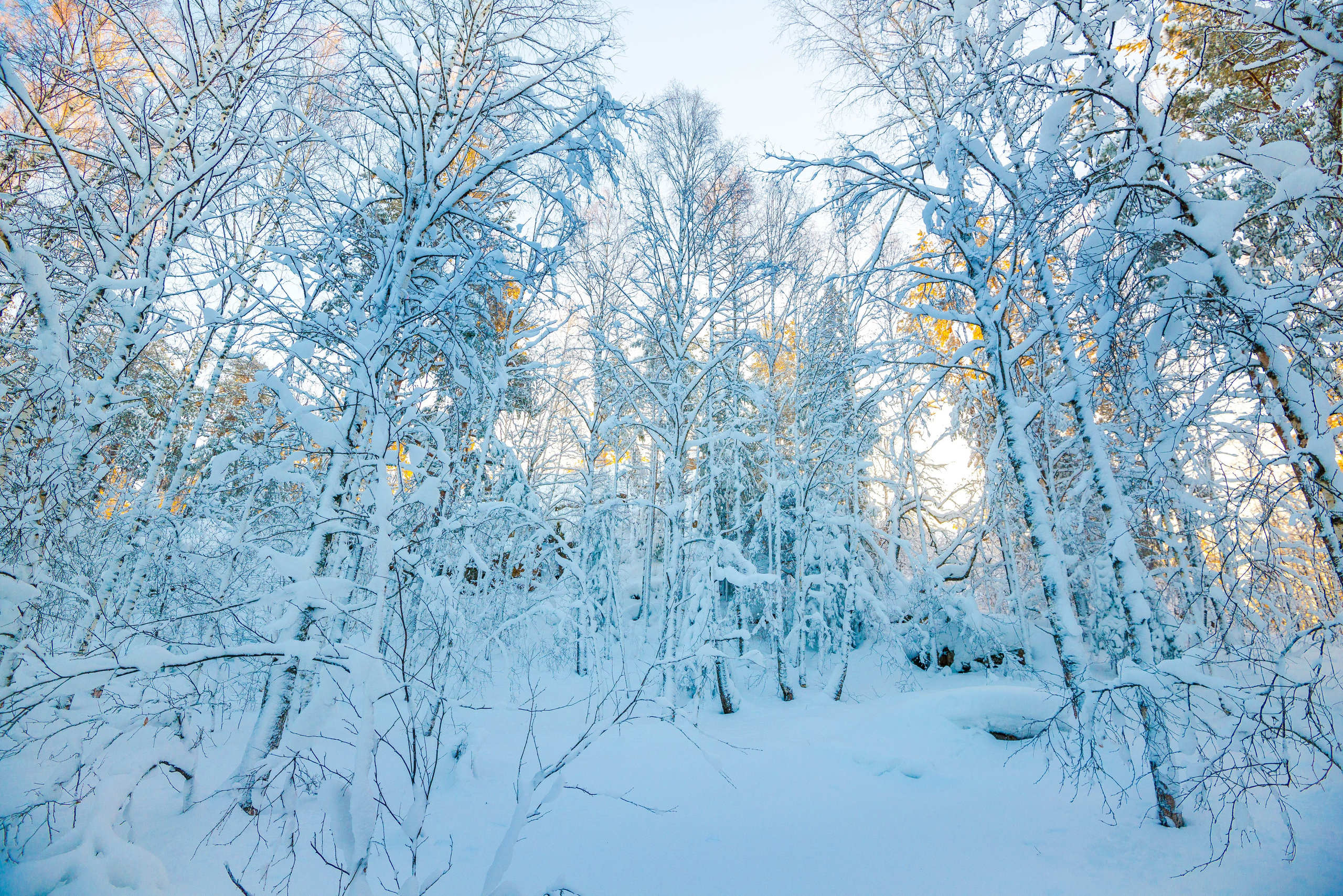 Таганай Семибратка, Парк Бажова, ледяной фонтан 06.01.2024. Свадебный фотограф на Урале Виктор Соколов