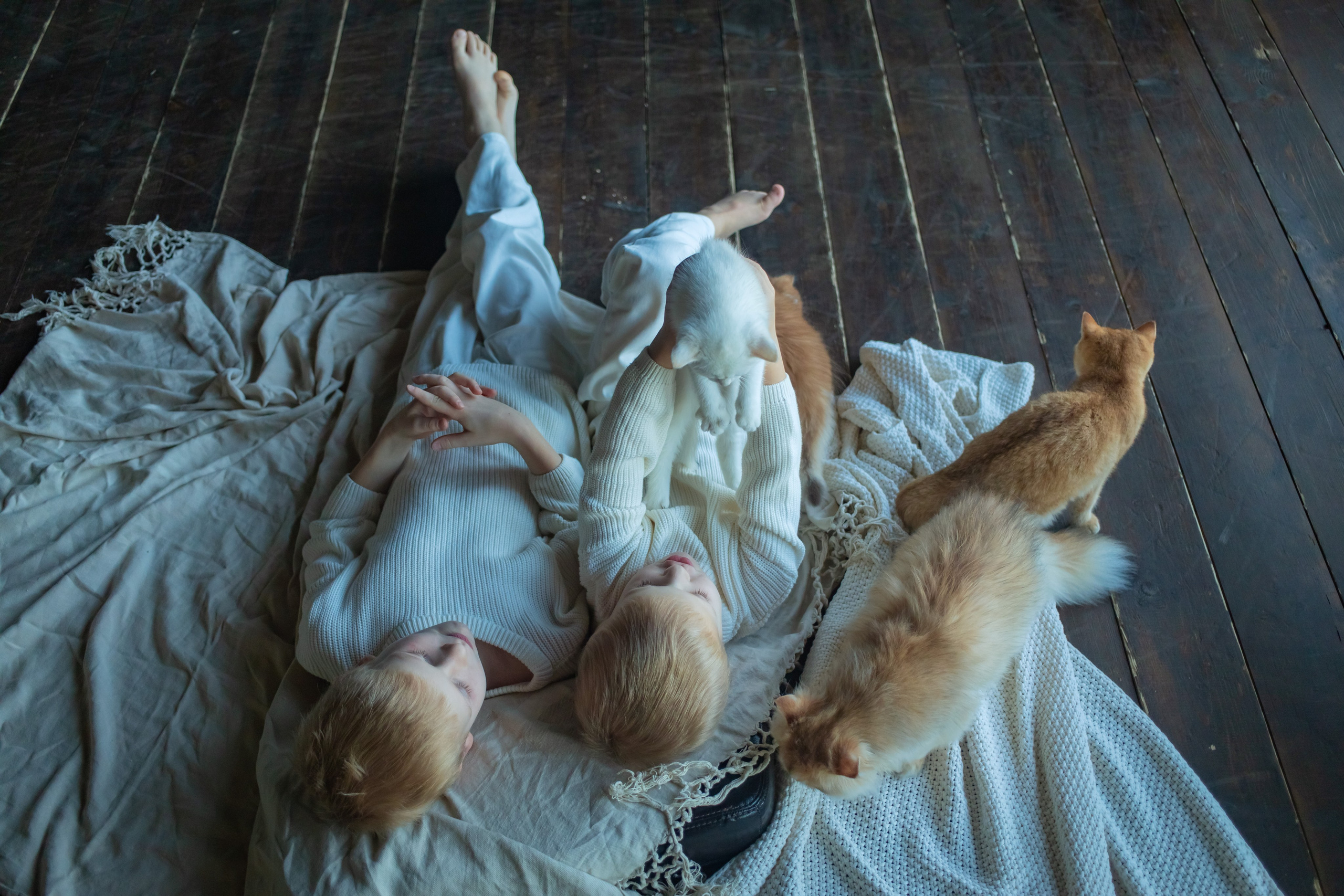 Детская фотосессия с котятками в студии в СПБ