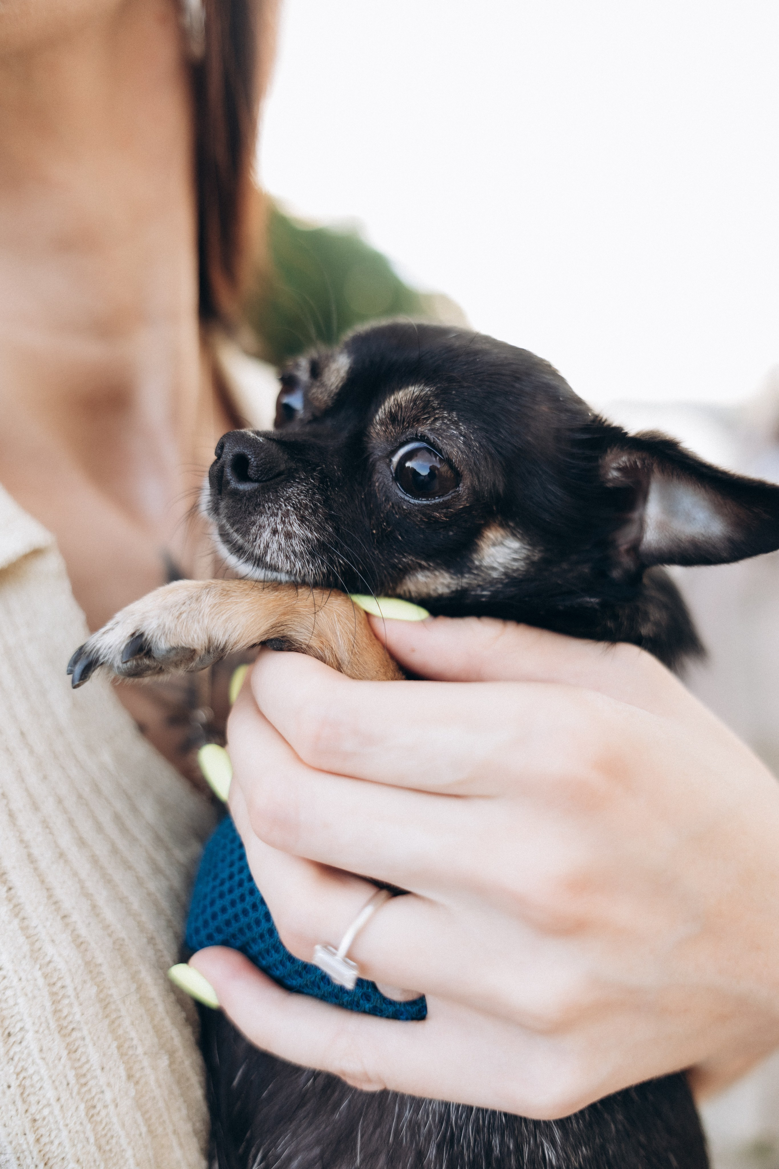 Лера и Ваня и их друзья семьи🩶. Фотограф Артем Бросов в Санкт-Петербурге и Дубае