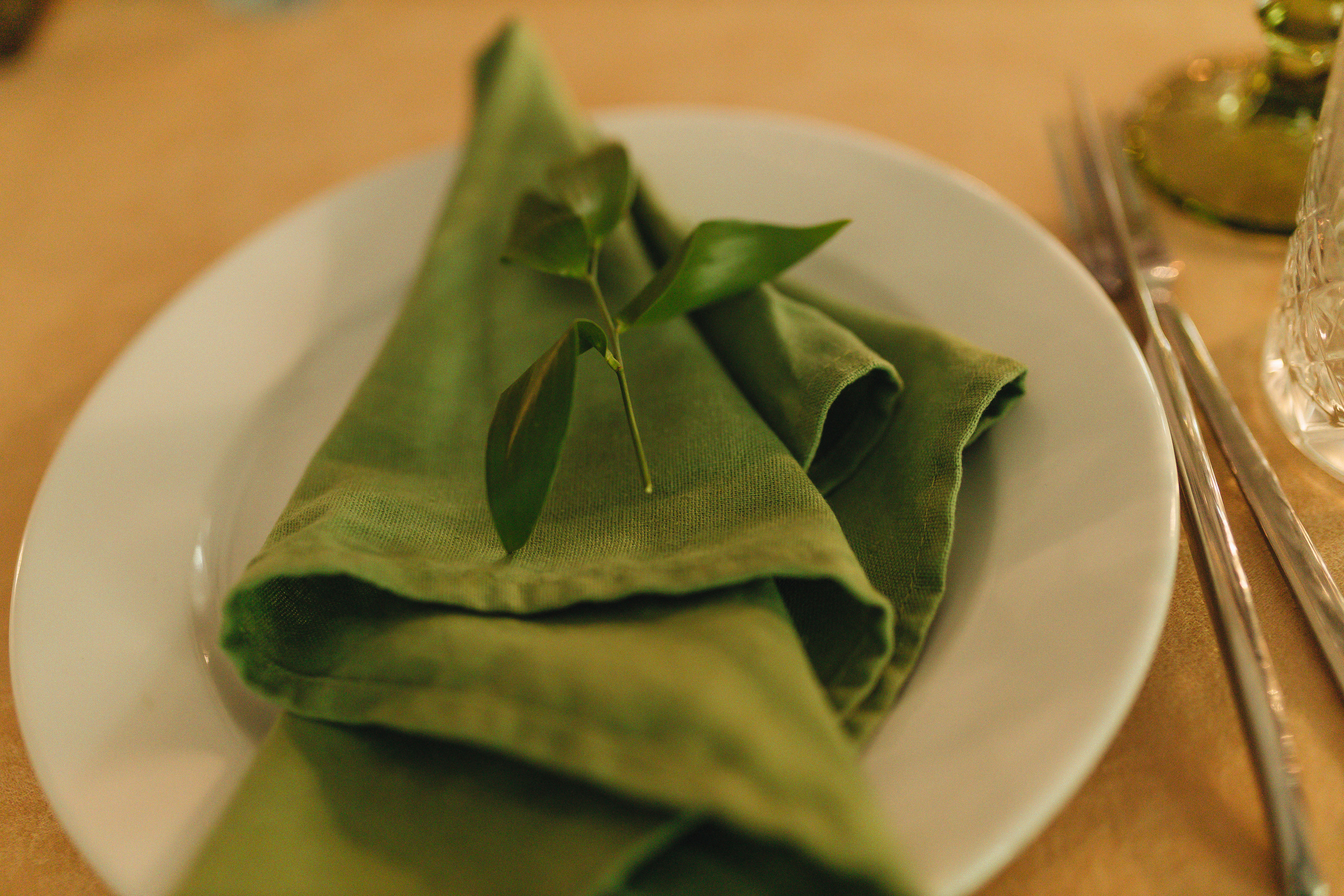 Юра и Соня. Свадебный и семейный фотограф в Туле и области Маша Костина