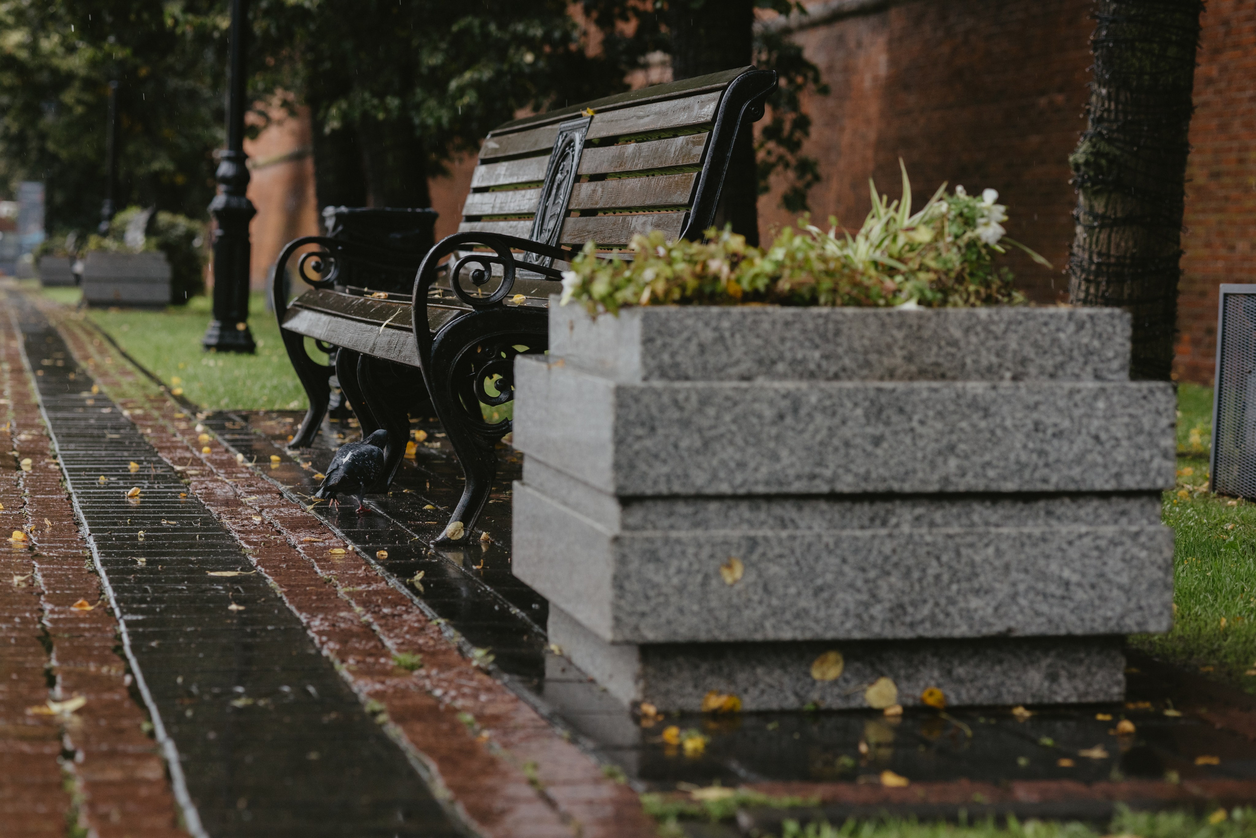 Дождливый Нижний Новгород. Фотограф Эльмира Лин