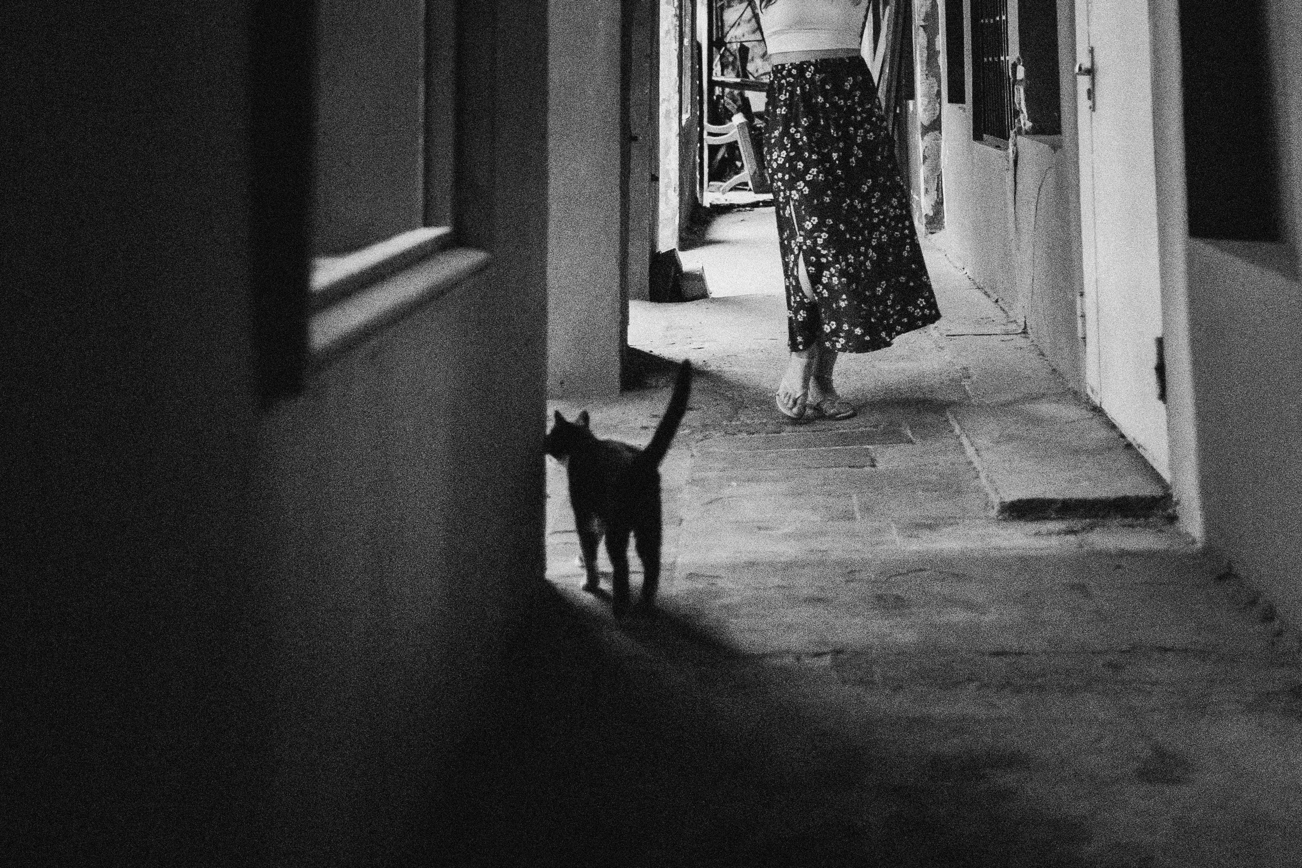 Ангелина / Тбилиси. Фотограф Наталья Гончарова. Снимаю живые портреты в Алматы