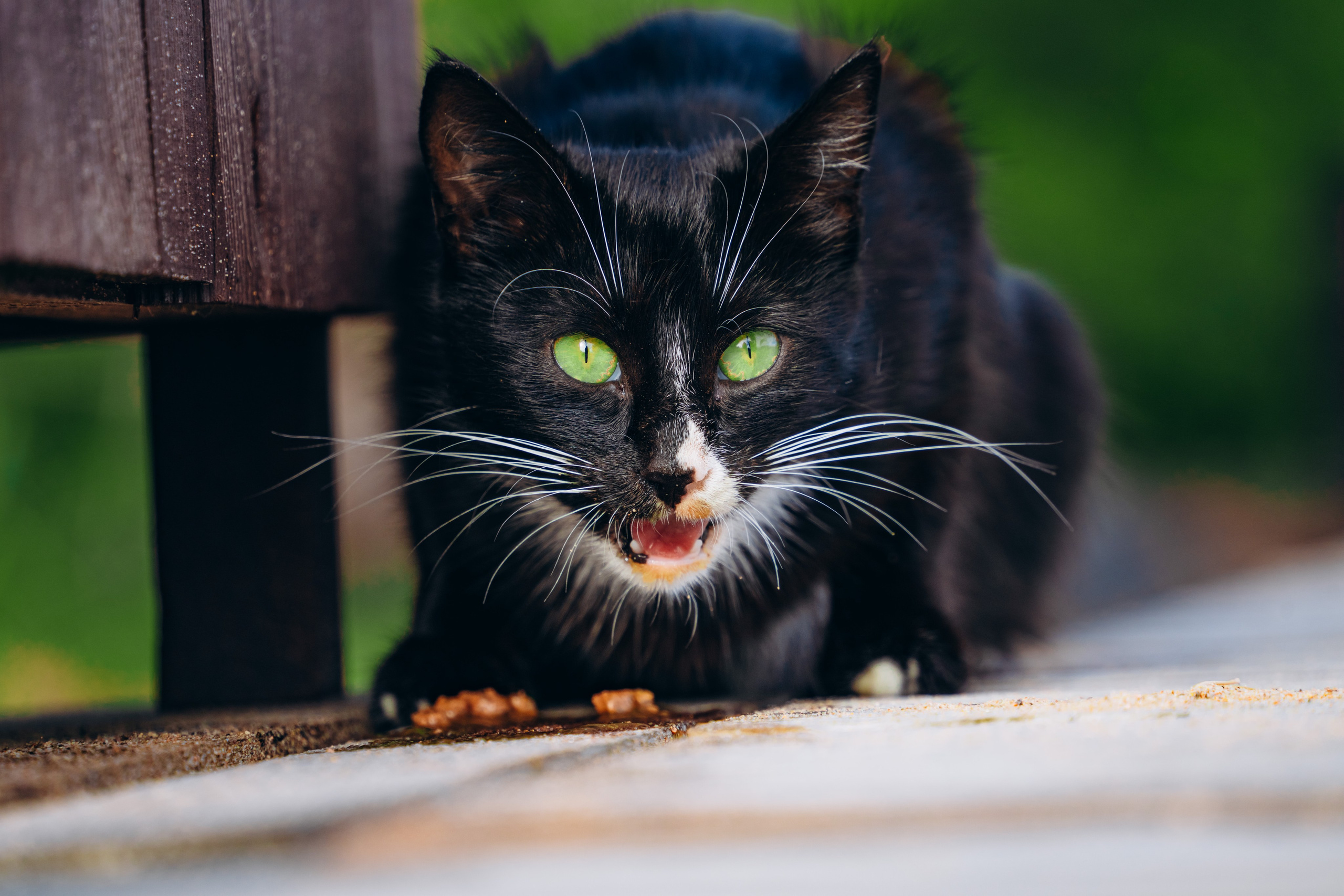 СЕВЕР. Event фотограф Степанова Александра