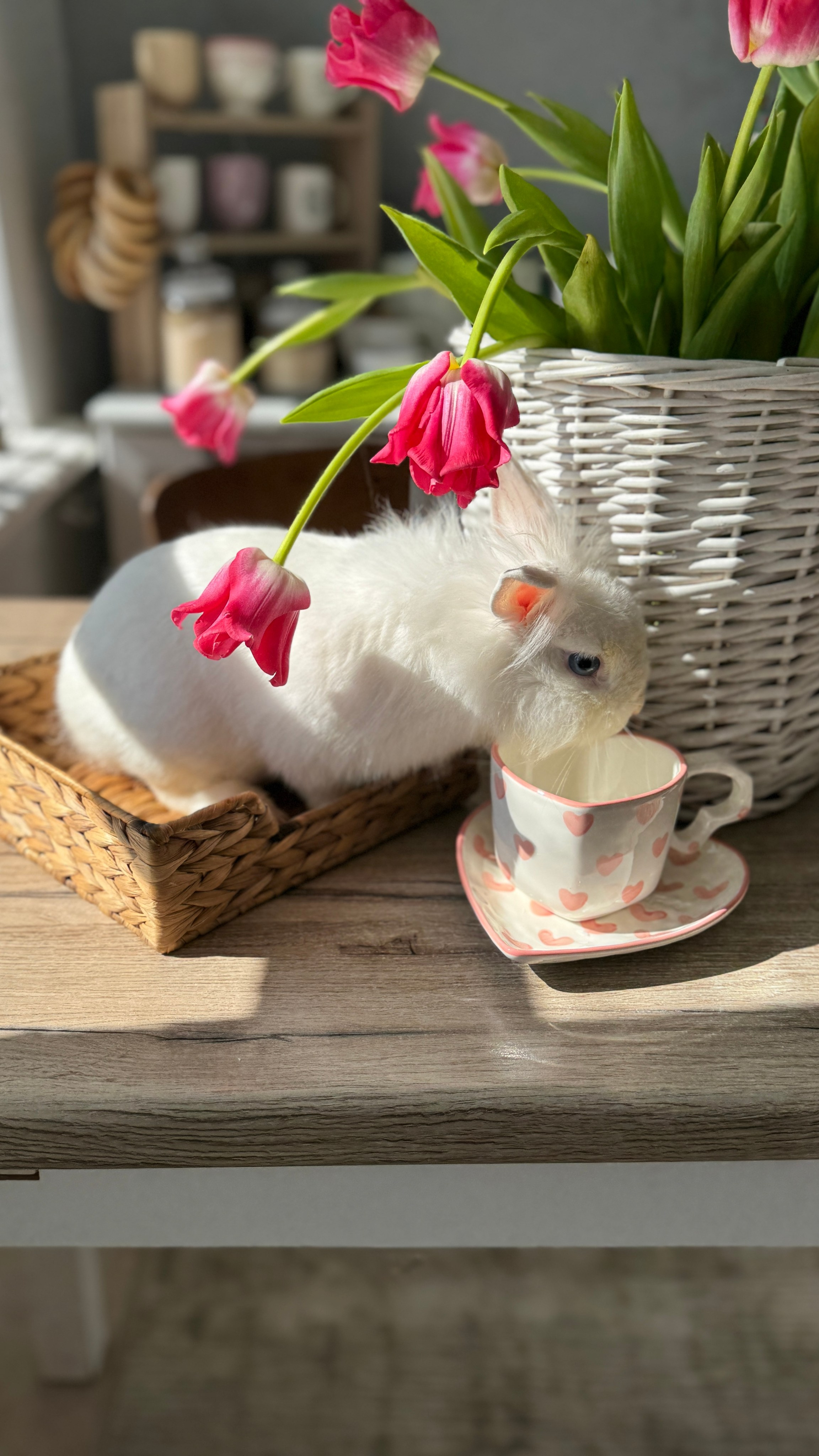 Кухня. Фотостудия Натальи Забродской