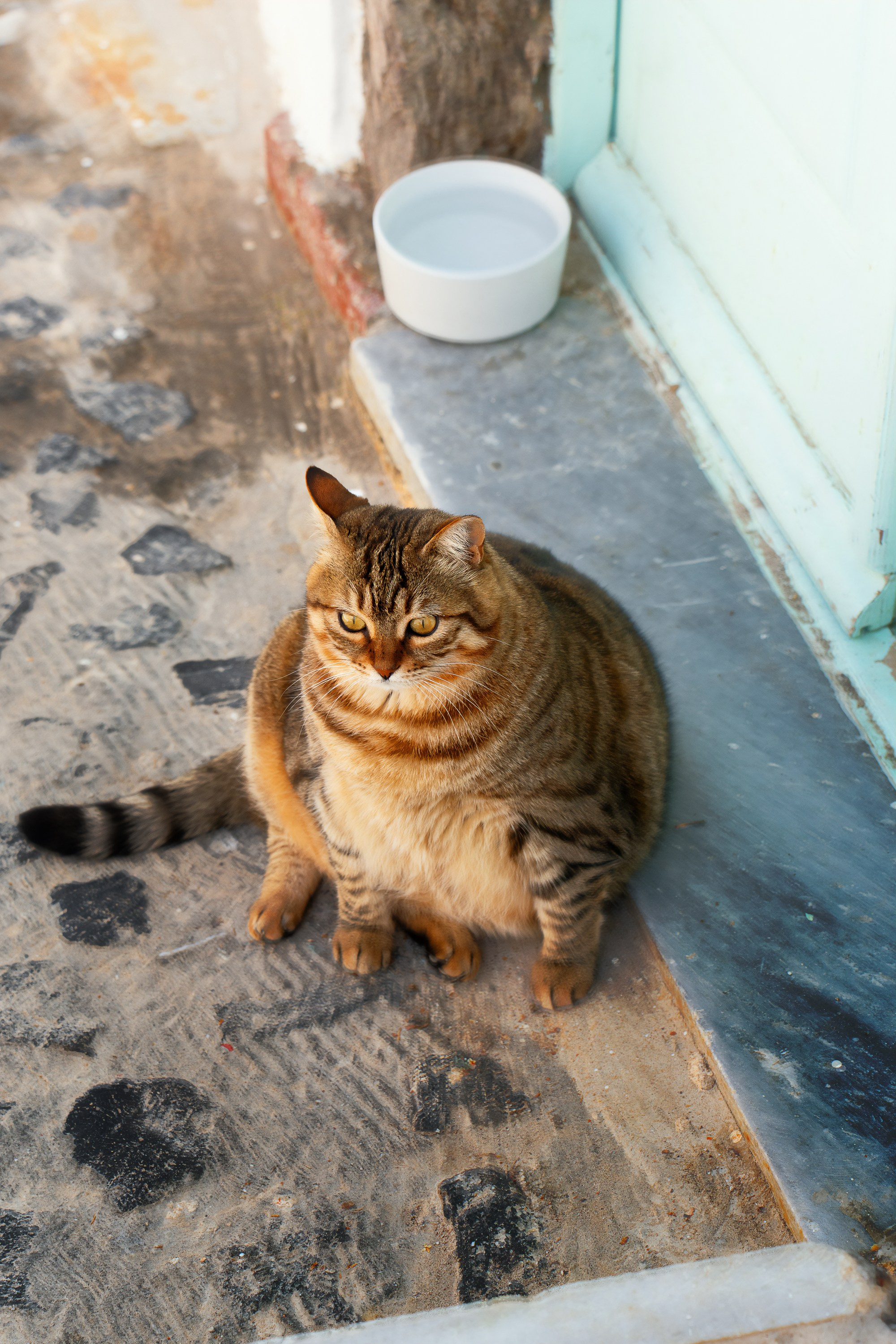 Турция, Греция, Иордания. Фотограф в Хабаровске. Фотография за 24 часа
