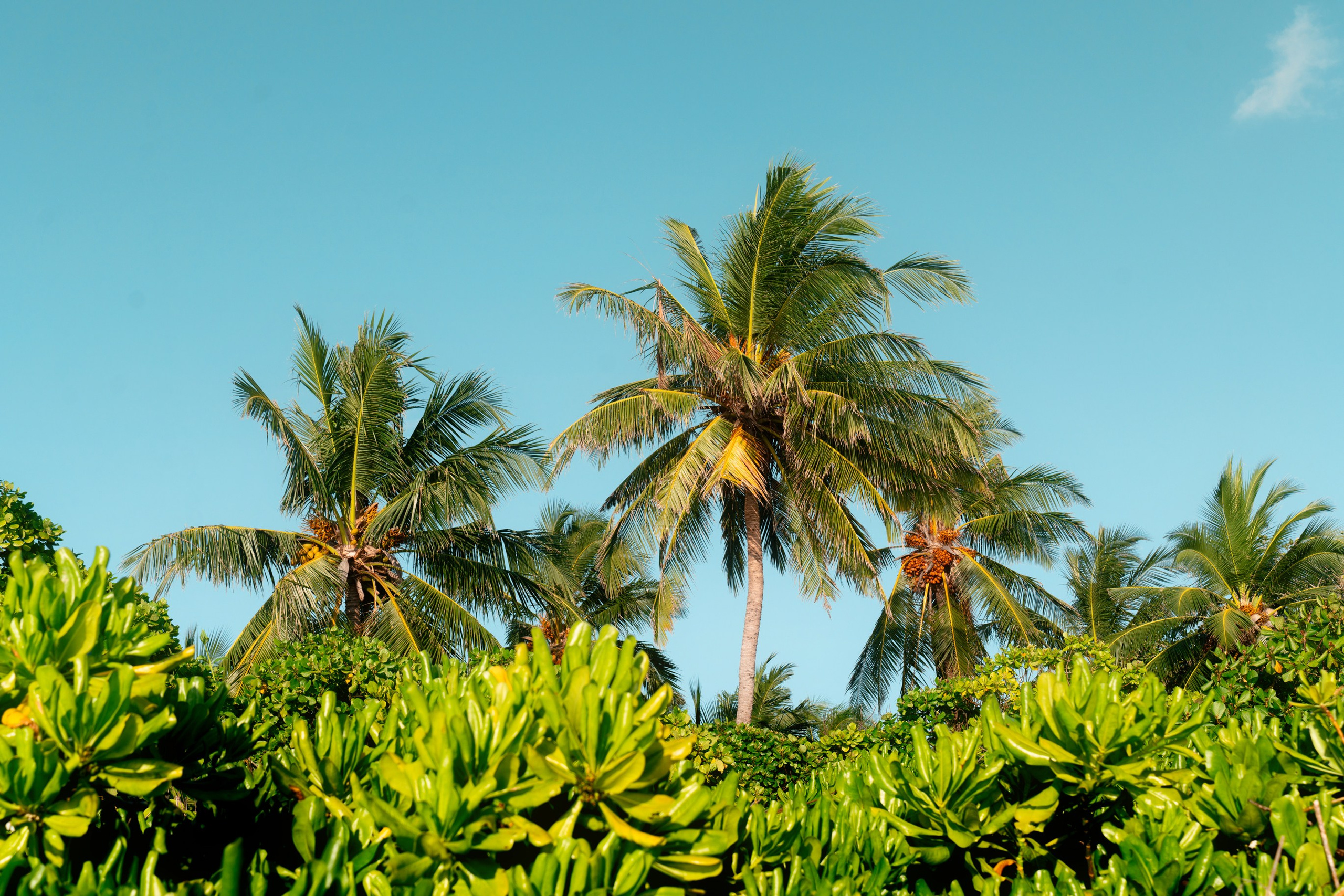 Ktokuda. Фотограф в Хабаровске. Фотография за 24 часа