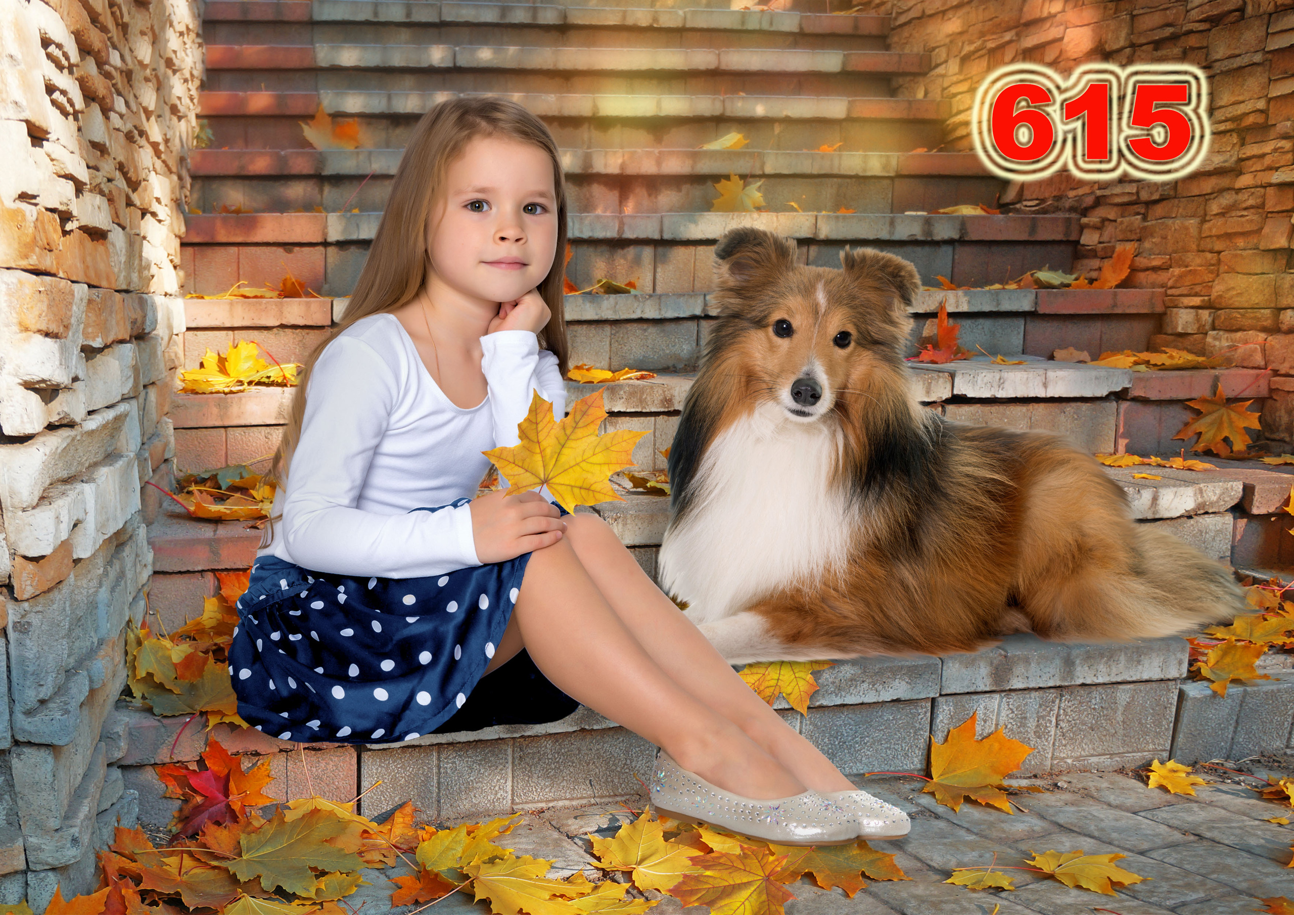 Фотографии Соколова Михаила в городе Пермь. Михаил Соколов Выпускные альбомы для детских садов и школ в г. Пермь