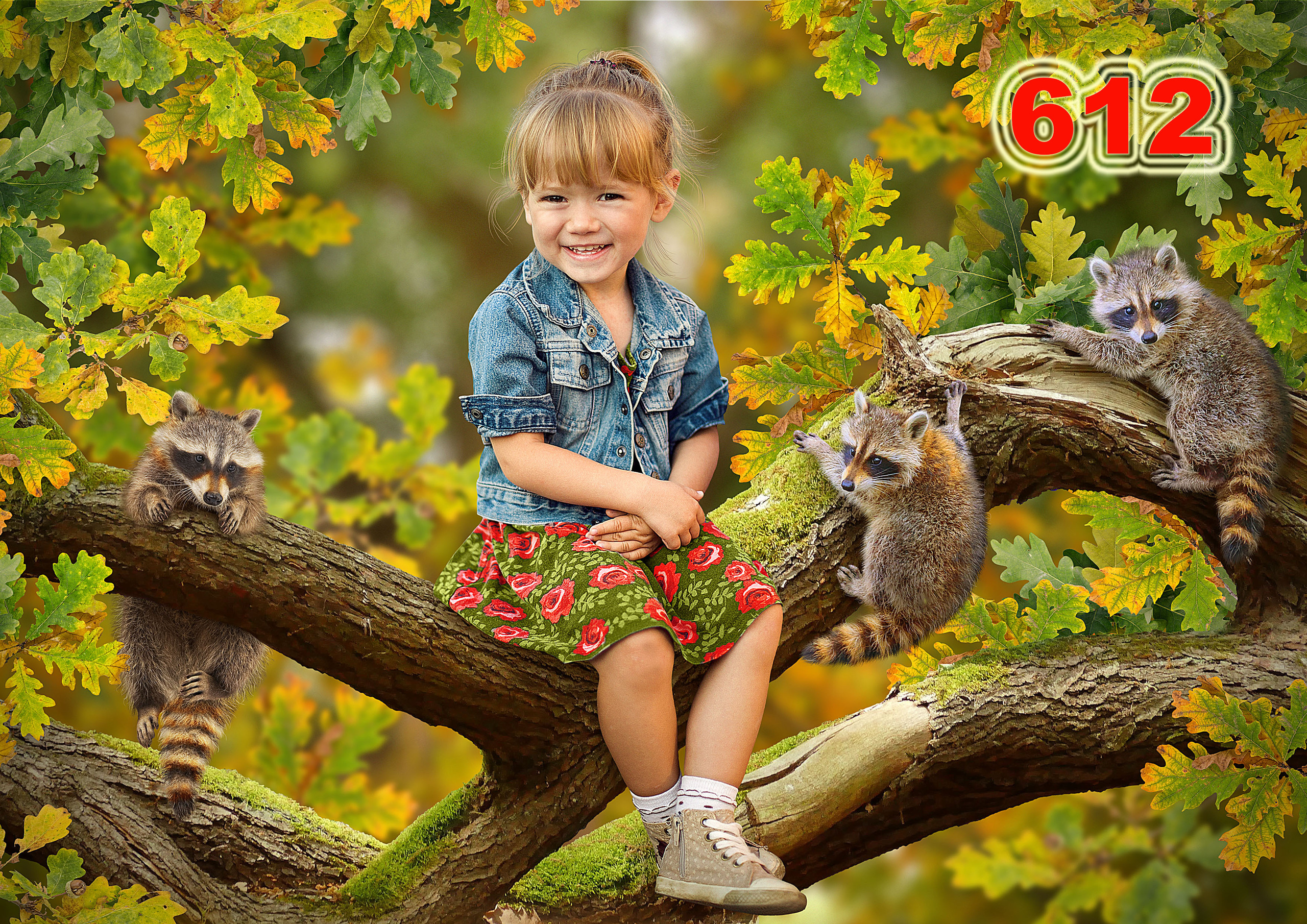 Фотографии Соколова Михаила в городе Пермь. Михаил Соколов Выпускные альбомы для детских садов и школ в г. Пермь