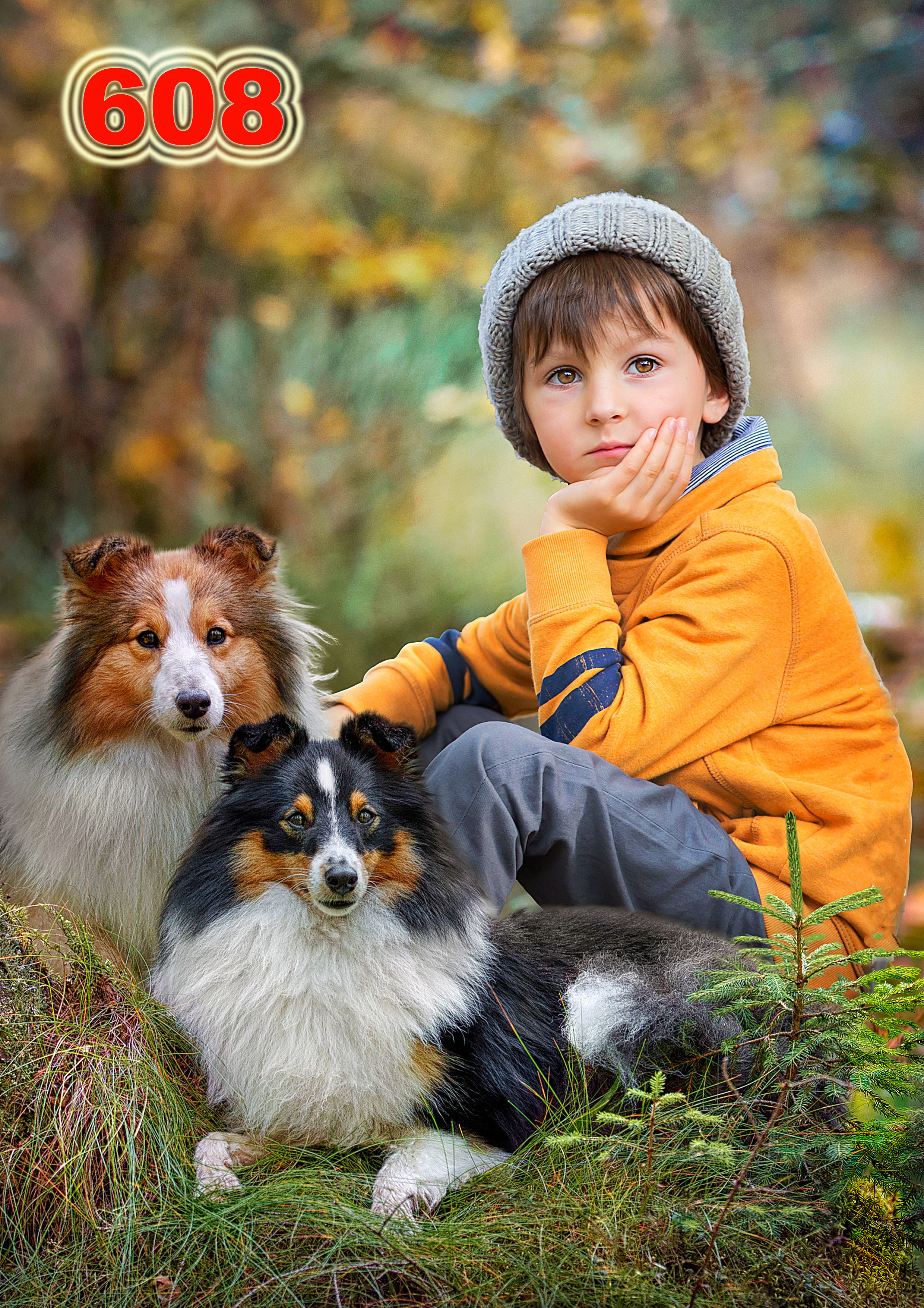 Фотографии Соколова Михаила в городе Пермь. Михаил Соколов Выпускные альбомы для детских садов и школ в г. Пермь