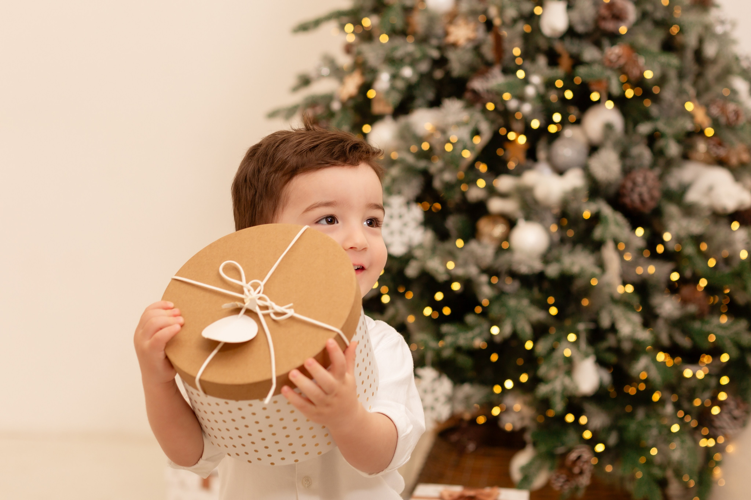 Новогодняя. Свадебный и семейный фотограф Спб Бошман Ирина